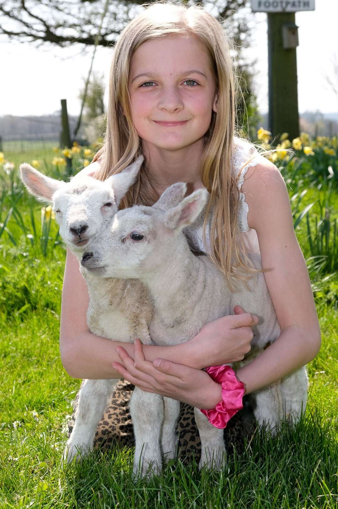 Bower Farm - Aldworth,Annabelle Walters age 10 with Percy and Charlotte Picture by Phil Cannings (46428927)