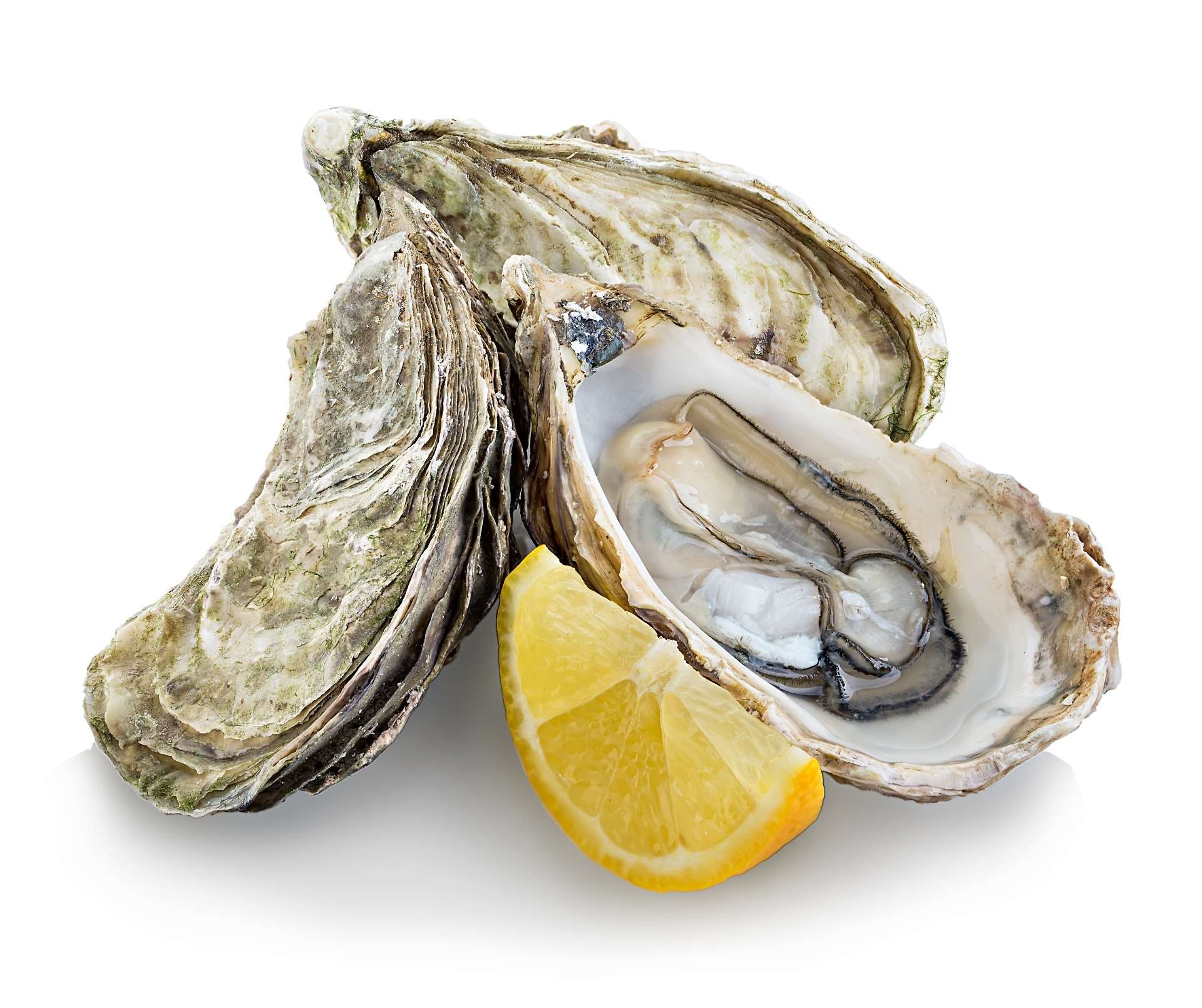 Oysters are good for you