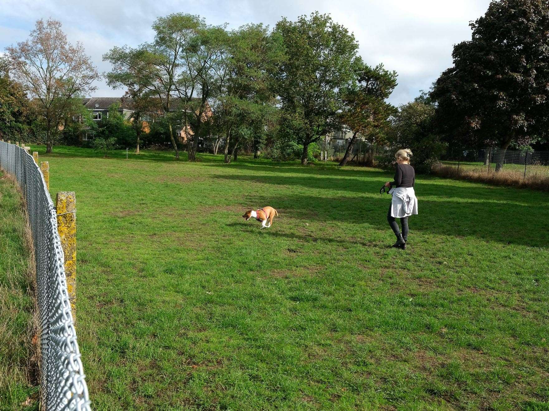 Dog play area in Thatcham Memorial Park.