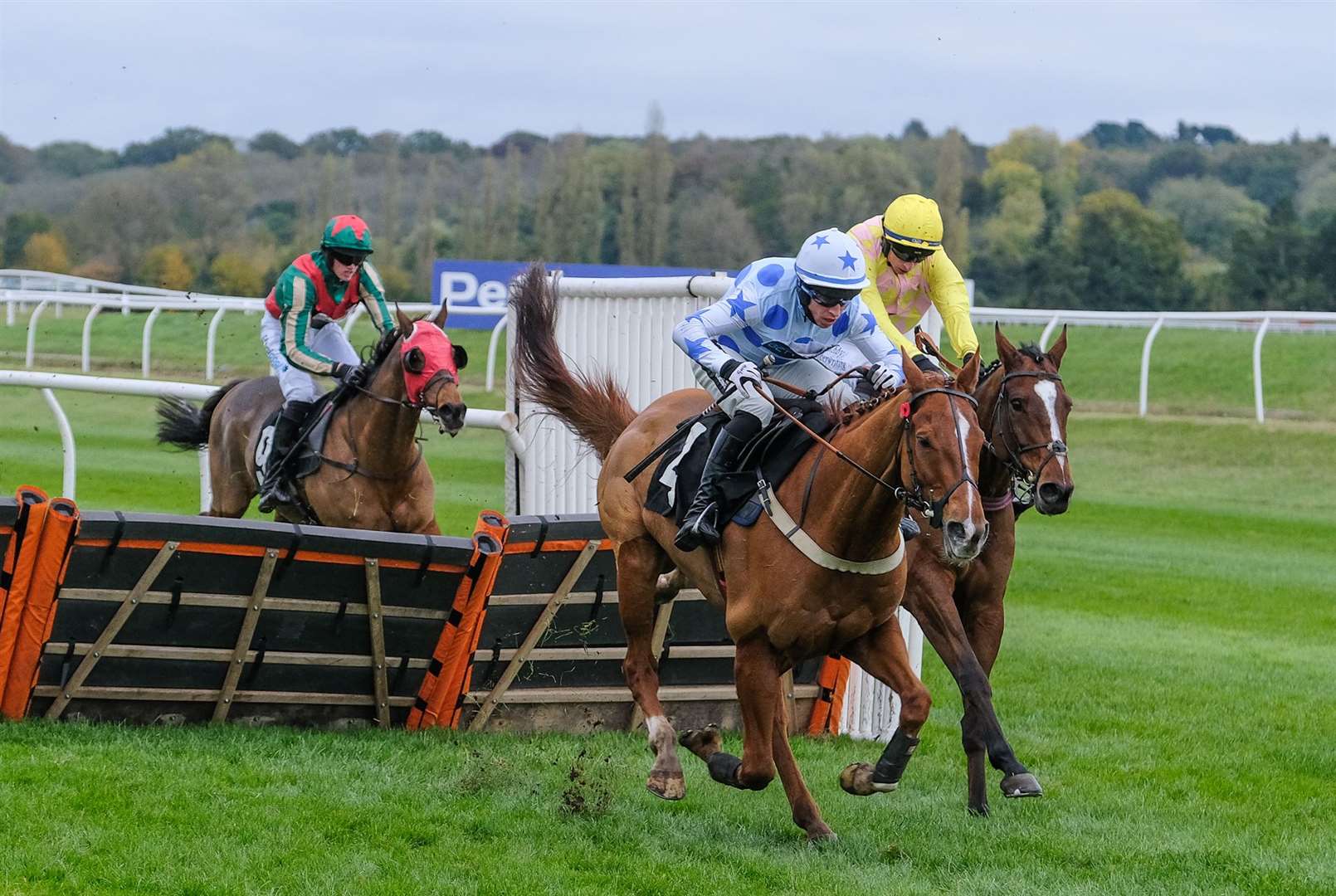 Stoney Mountain won the Pertemps Network Handicap Hurdle for Jamie Snowden