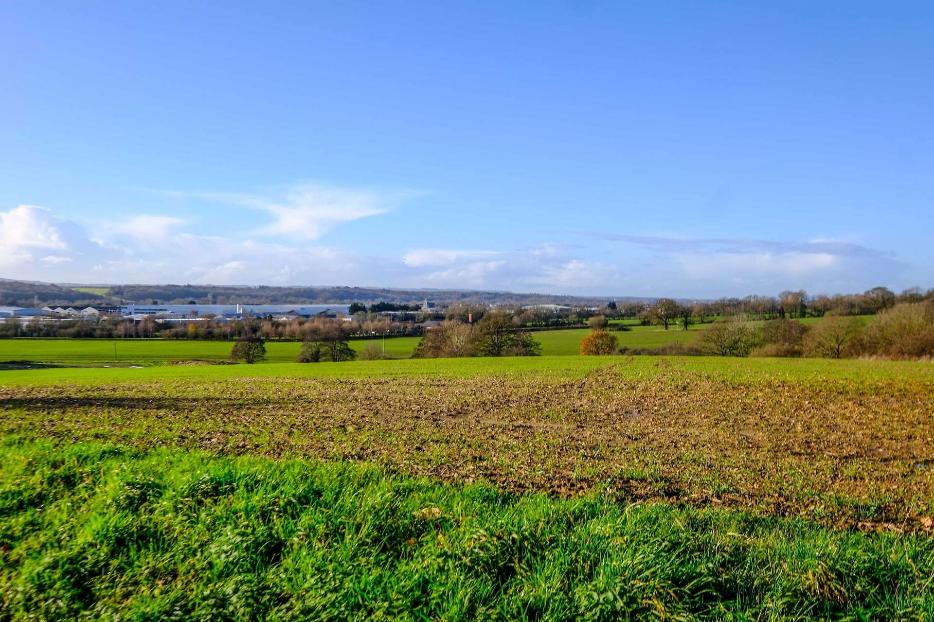 One of the sites for the new homes – Cox's Lane looking towards Colthrop