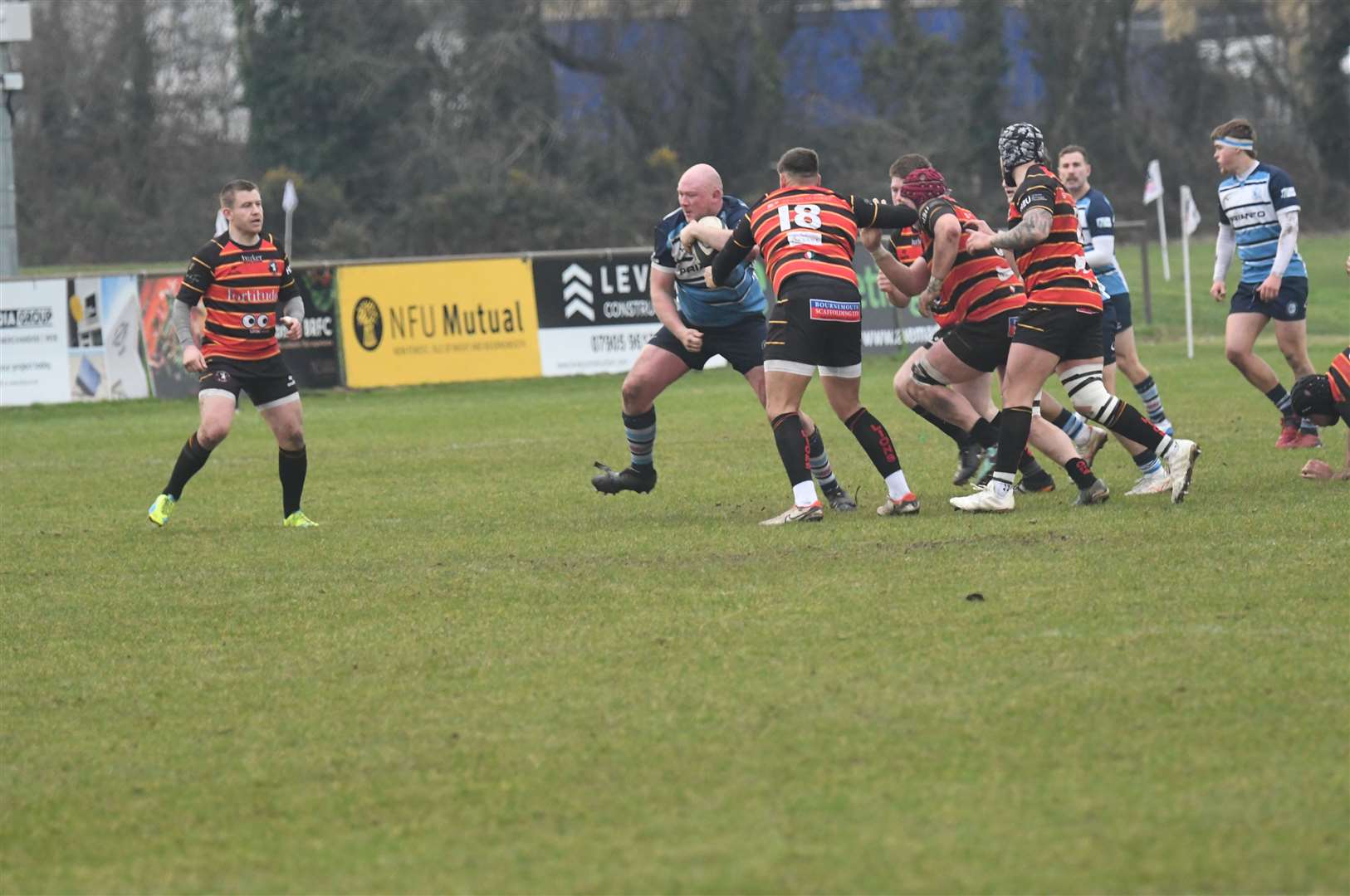 Newbury Blues' Kyle Doel - Photo: Peter Branch