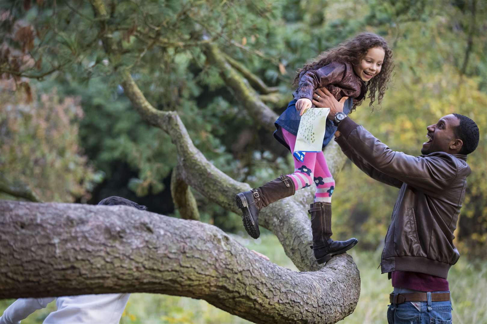 A family enjoying the woods Picture: NT Chris Lacey