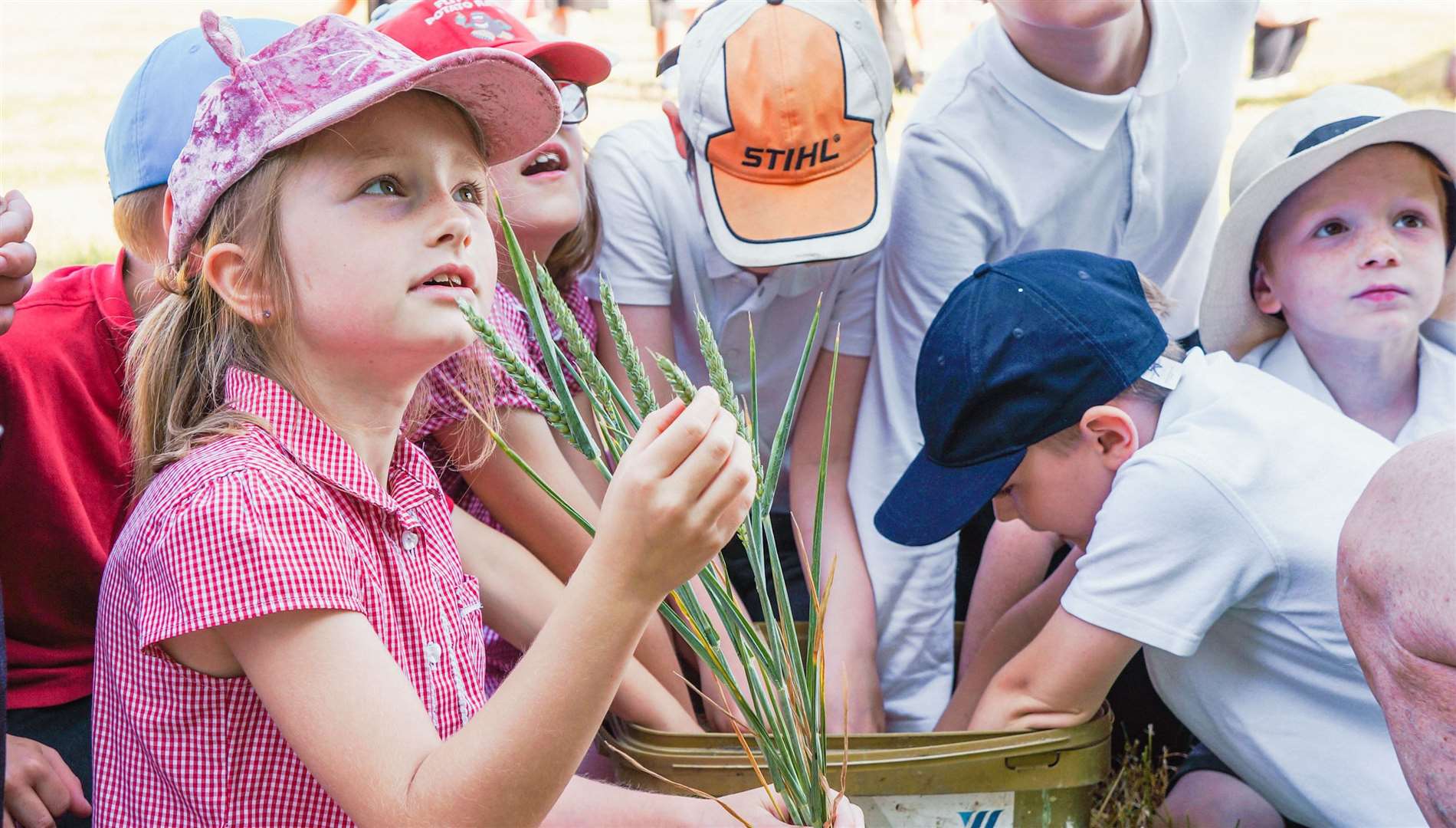 School pupils enjoying a previous Schools Open Day at Englefield Estate