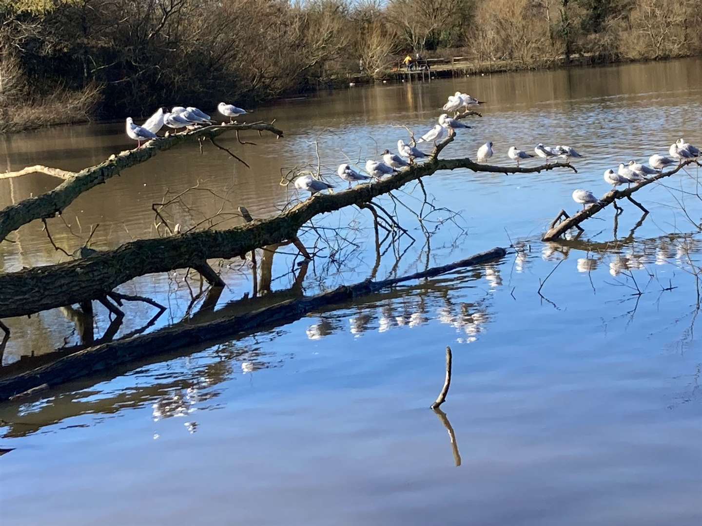Thatcham Nature Discovery Centre