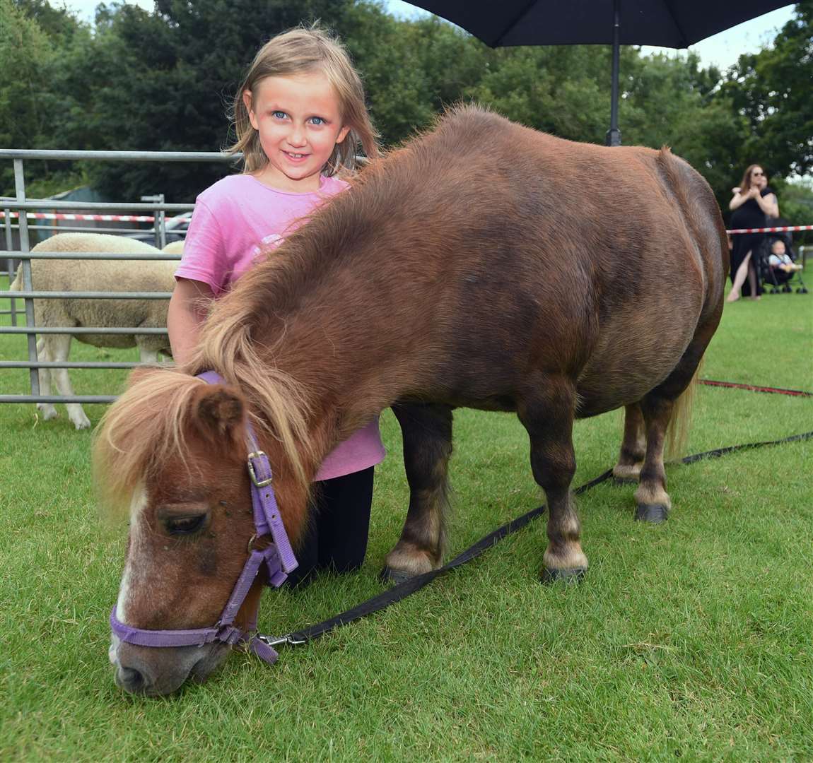 Farms to Ewe stand. Winnie shetland pony with Georgia McGarry 6 Ref: 32-1821
