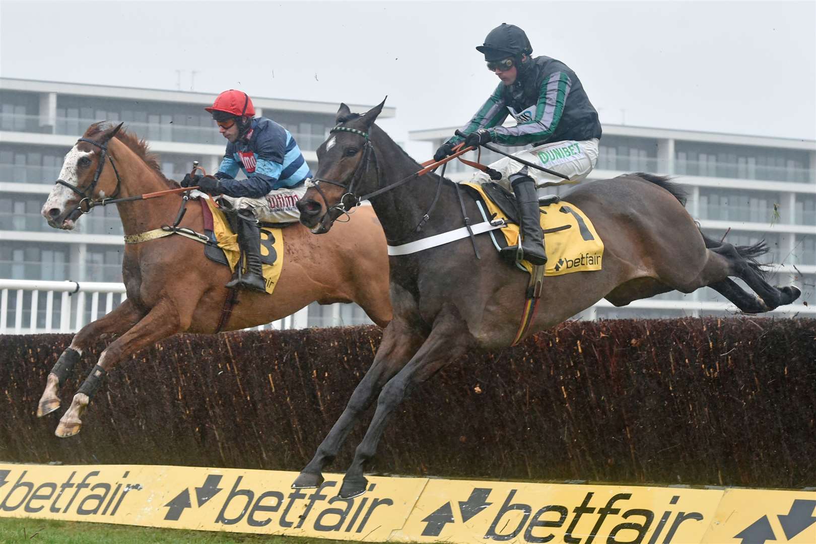 Altior racing at Newbury