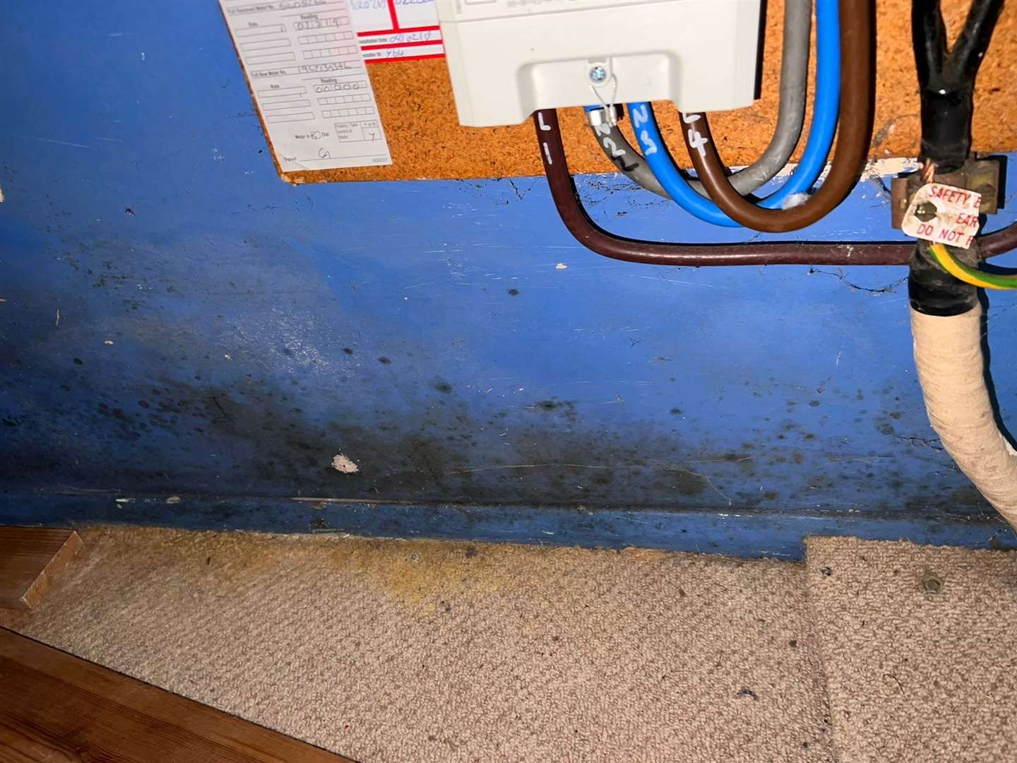 Black mould