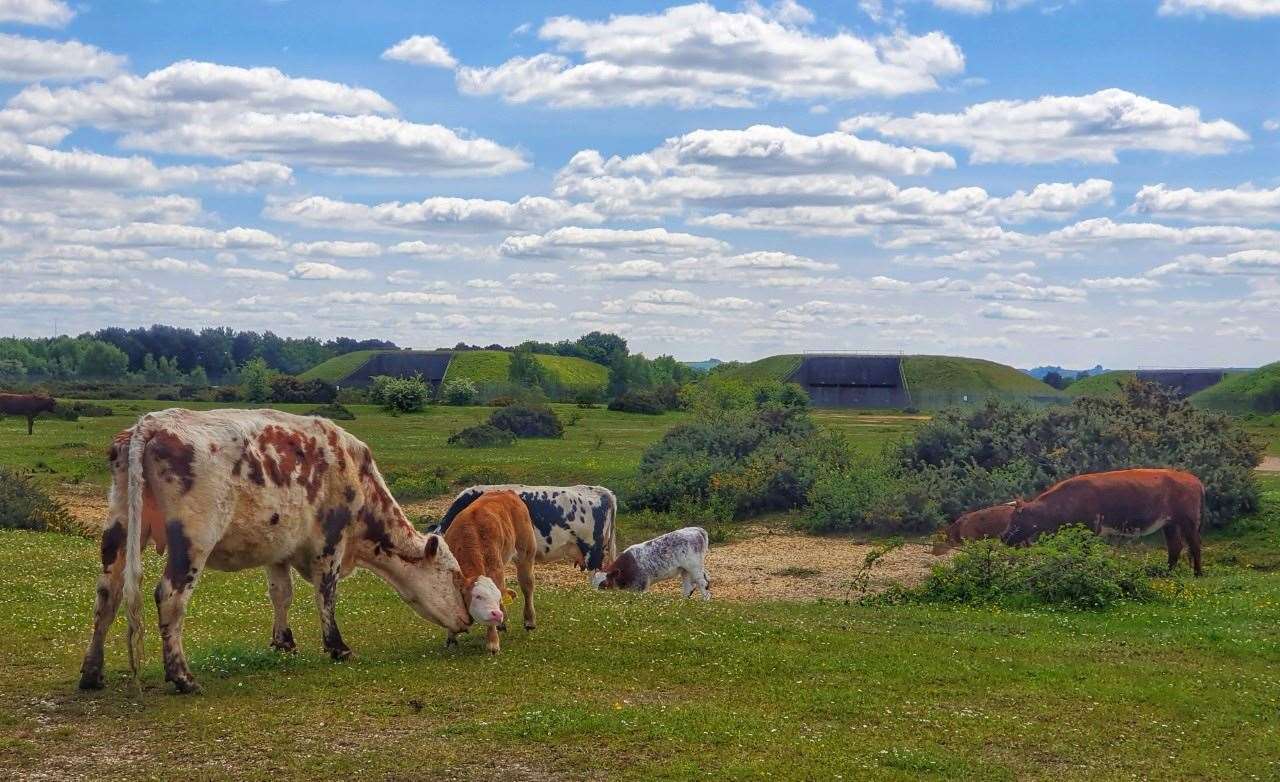 Greenham Common