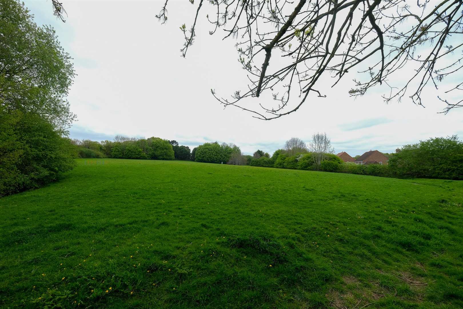 The Manor Park site