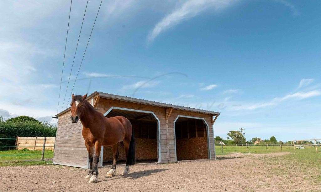 Stables at Simms Farm, Mortimer Common