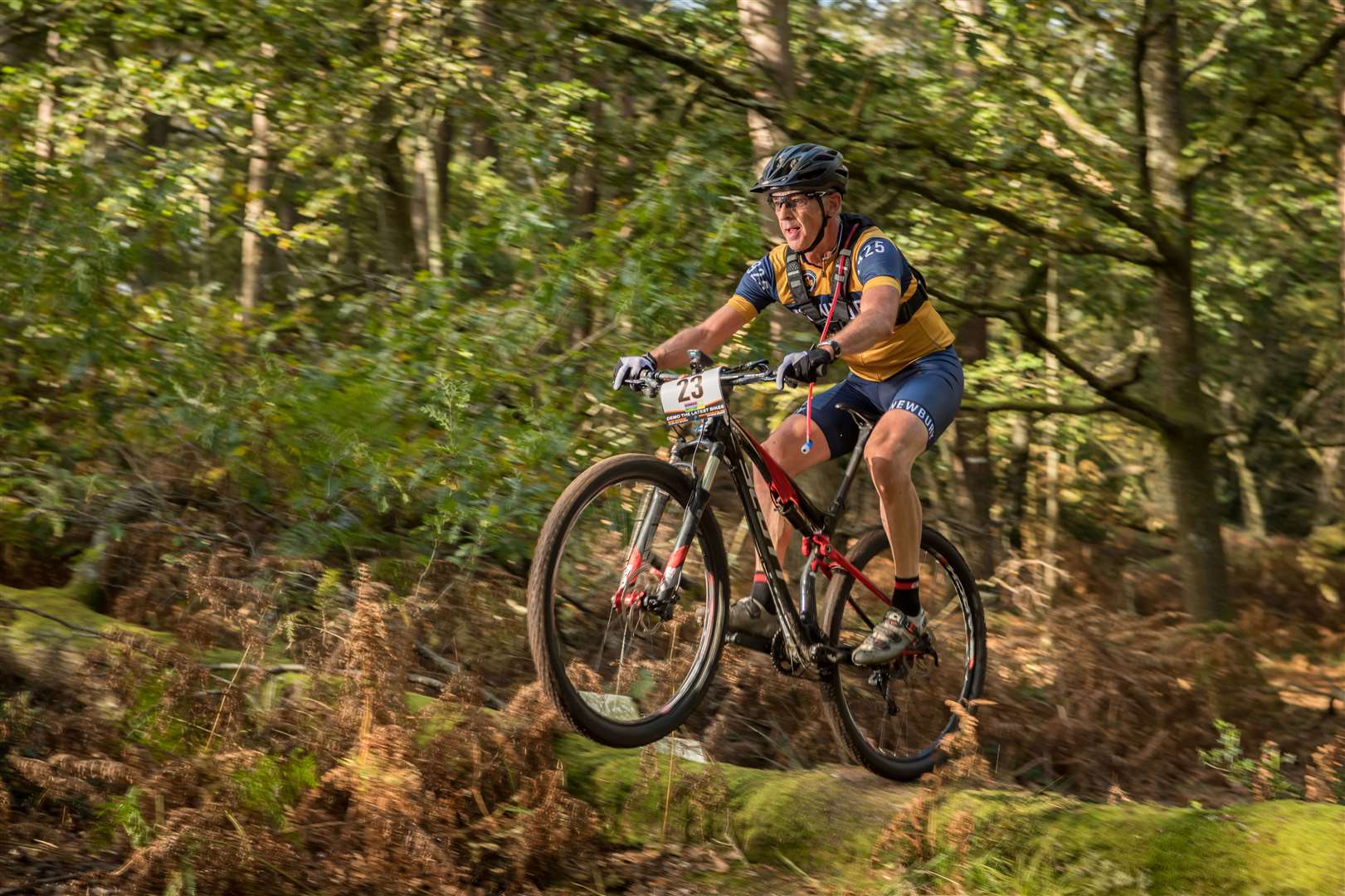 Steve Miller (Picture: Kevin Sheldrake)