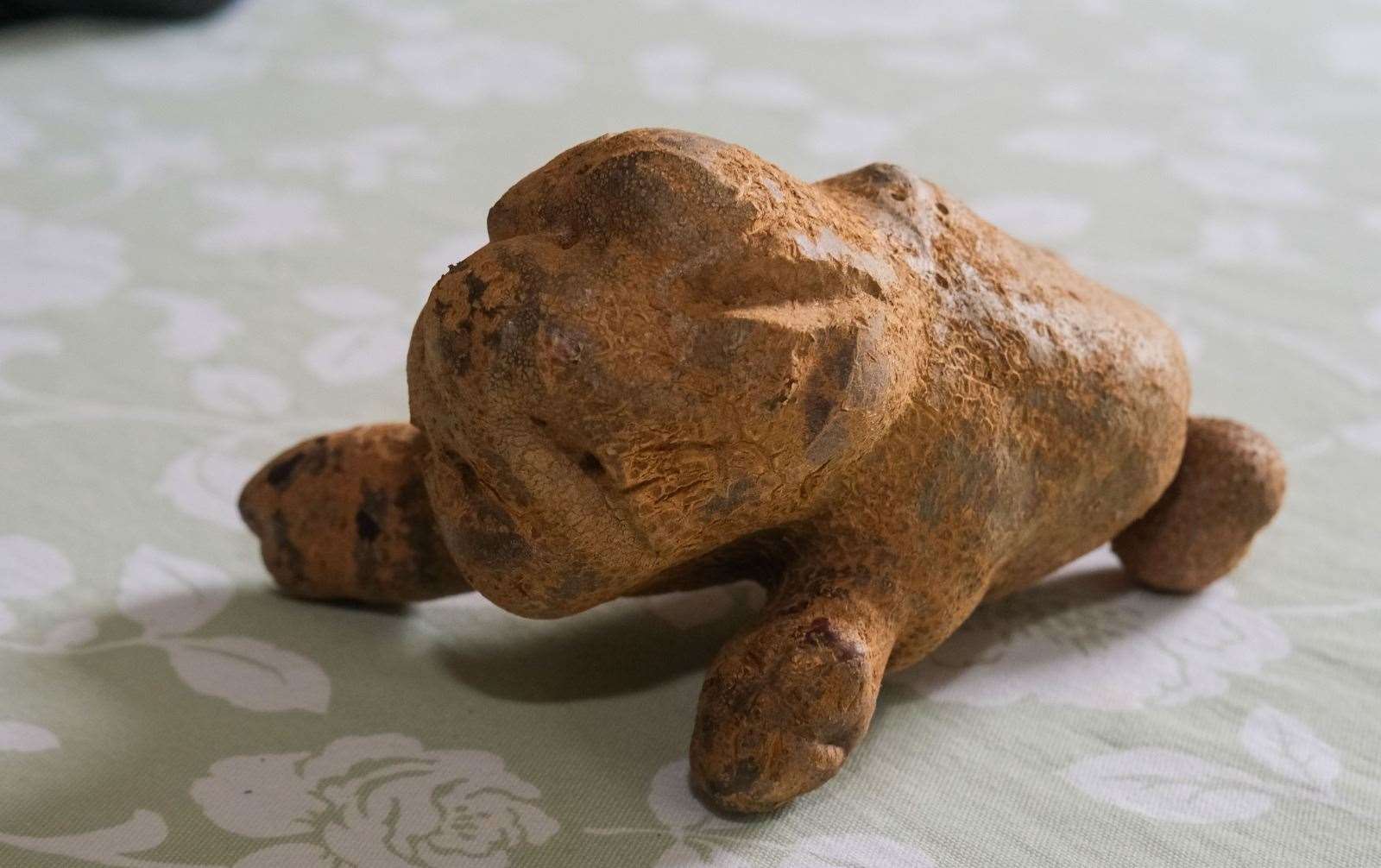 Potato dog discovered at Theale