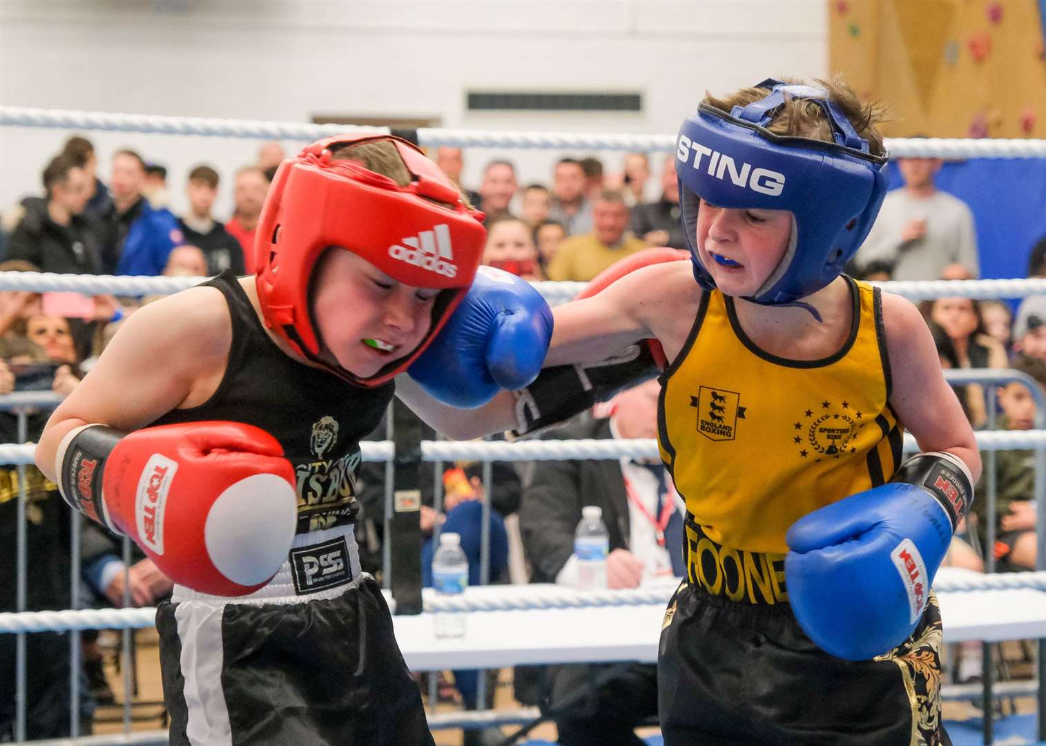 H. Scriven (Salisbury) vs L Rooney (Sporting Ring)
