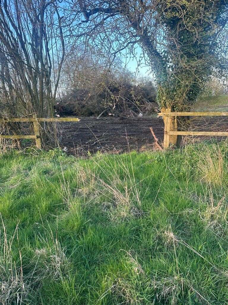 The woodland works