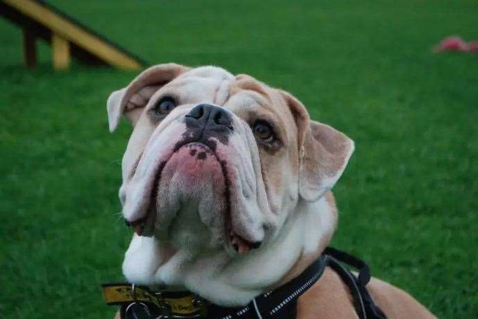 Winston