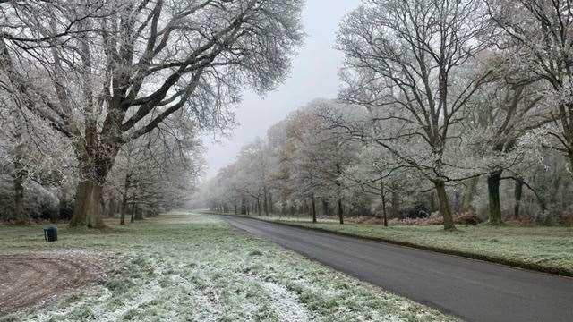 The Avenue, Bucklebury by Ian Marshall