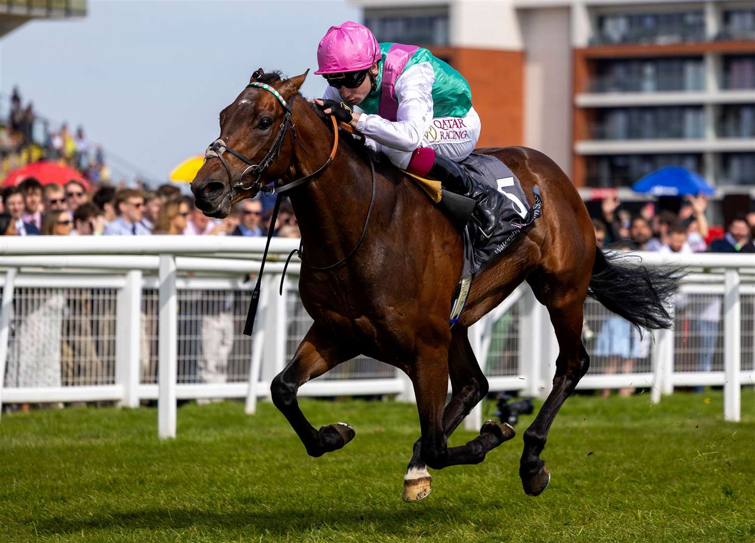 Watership Down Stud Too Darn Hot Greenham Stakes - Jonquil