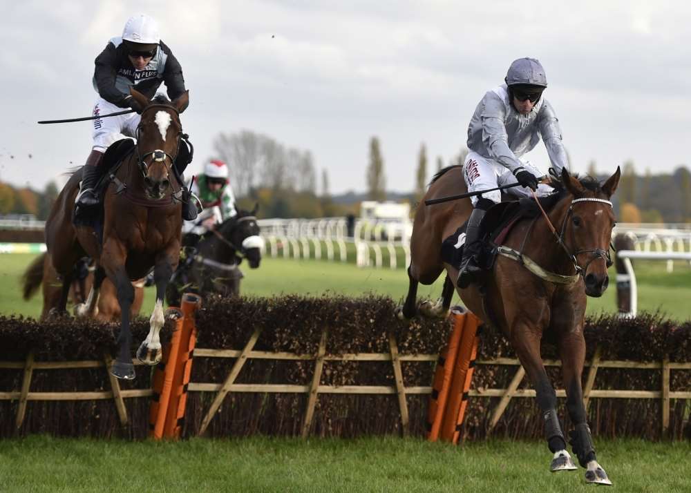 Dusky Legend (right) is amongst the potential stars on show at Newbury on Saturday