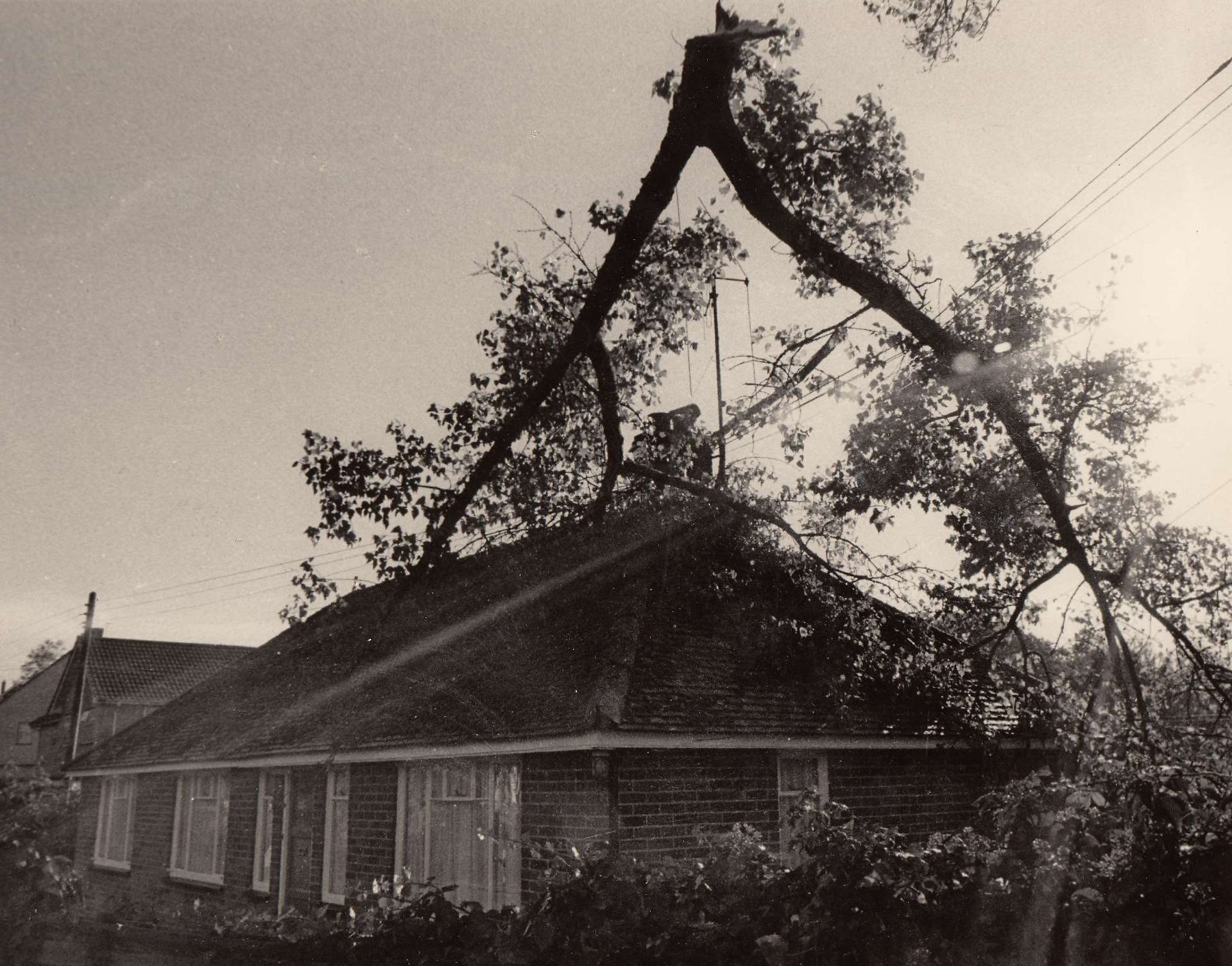 Storm damage in Ashmore Green in October 1987