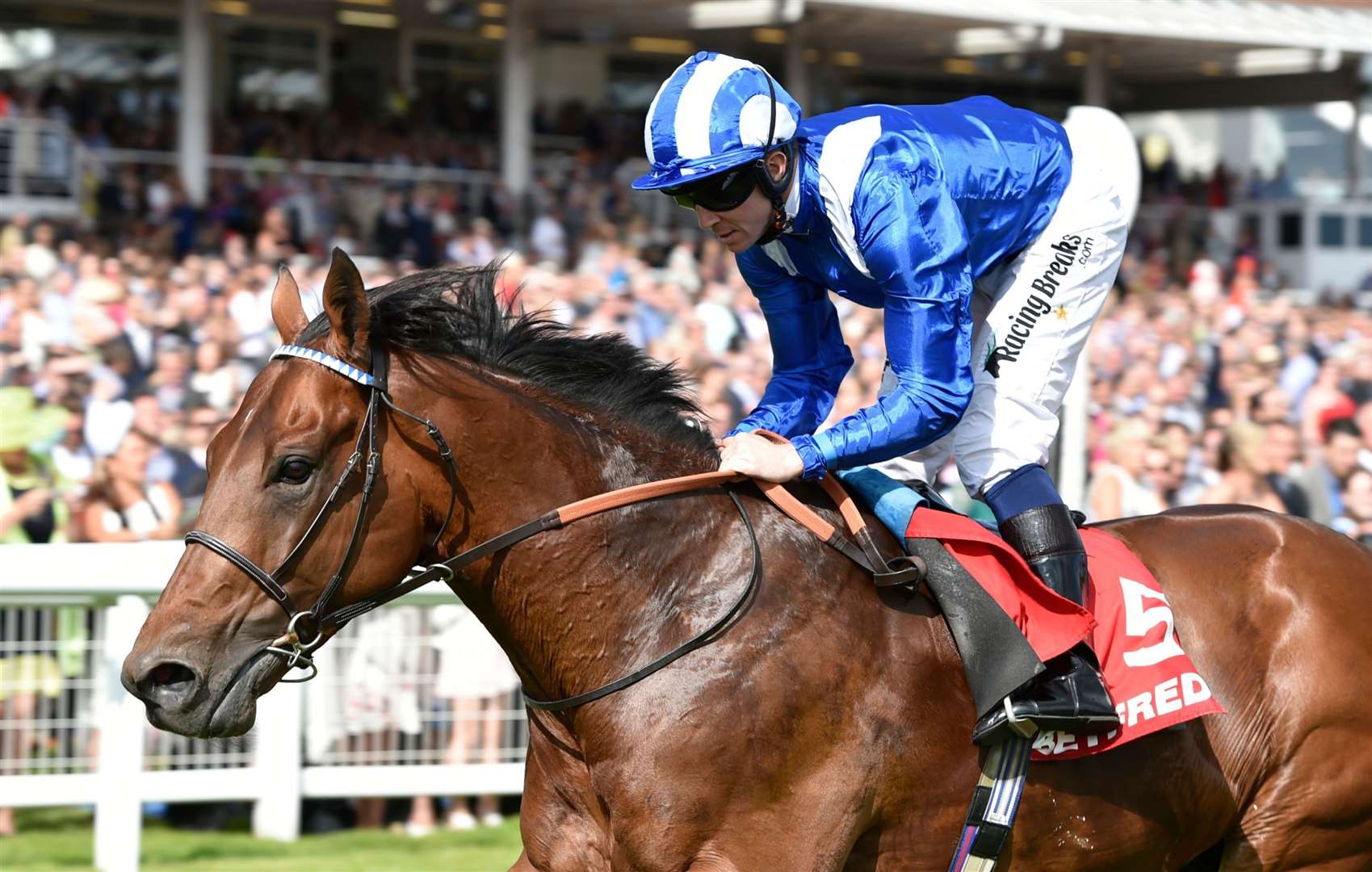 Massaat won the Hungerford Stakes in 2017 Pic: Francesca Altoft