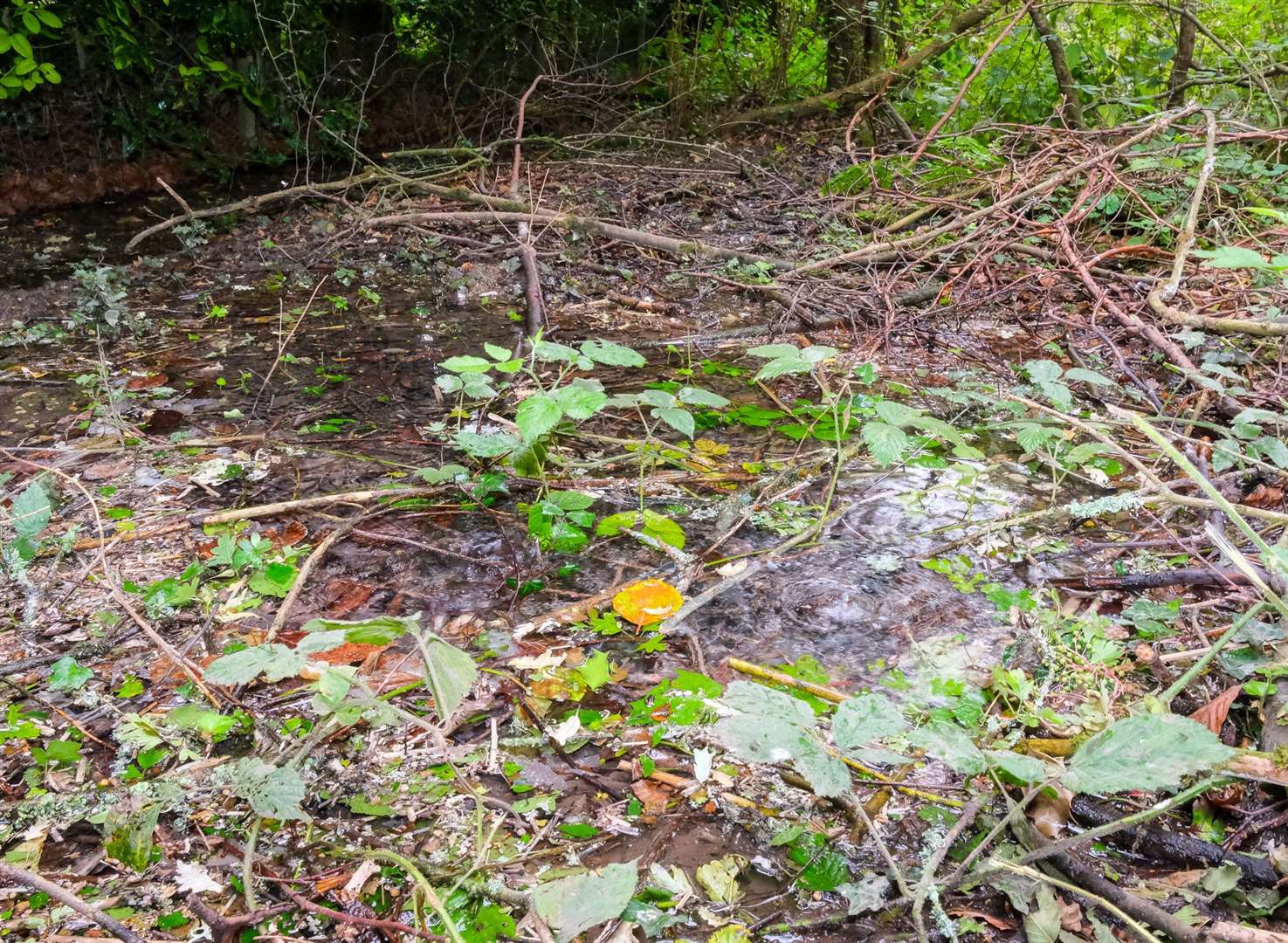 A pipe in Crookham Common has been leaking water for more than three months now