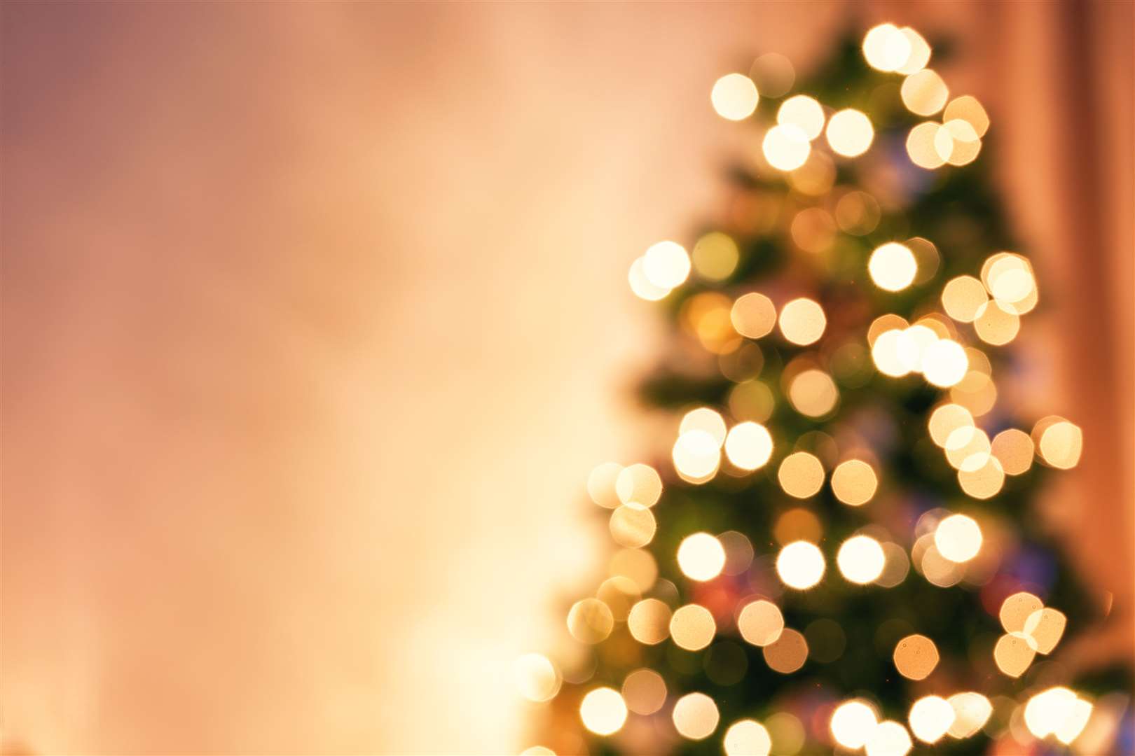 The tree will be displayed in the shopping centre throughout the festive season