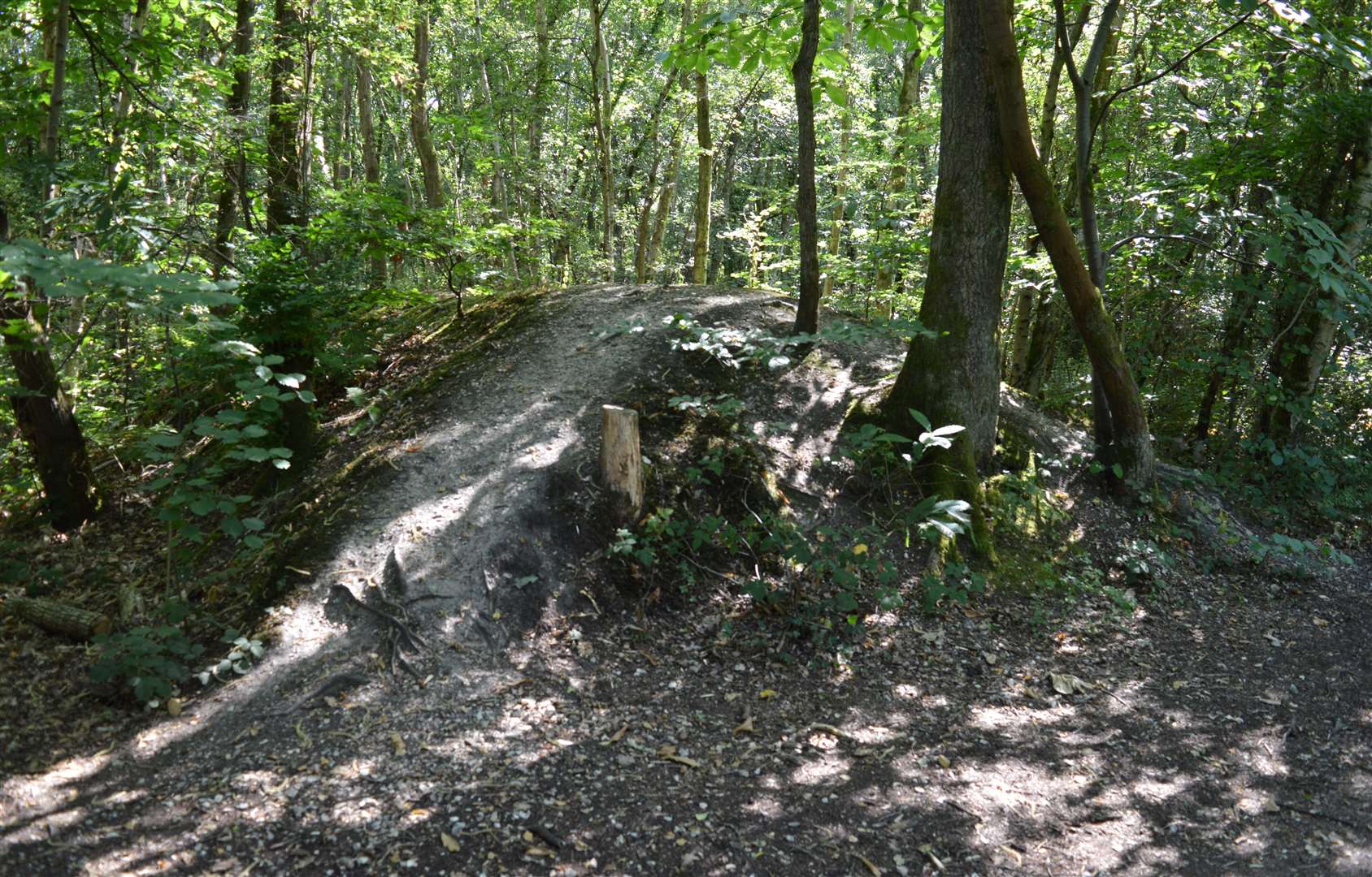 Ammunition store in Bowdown Woods, one of at least 10 such mounds