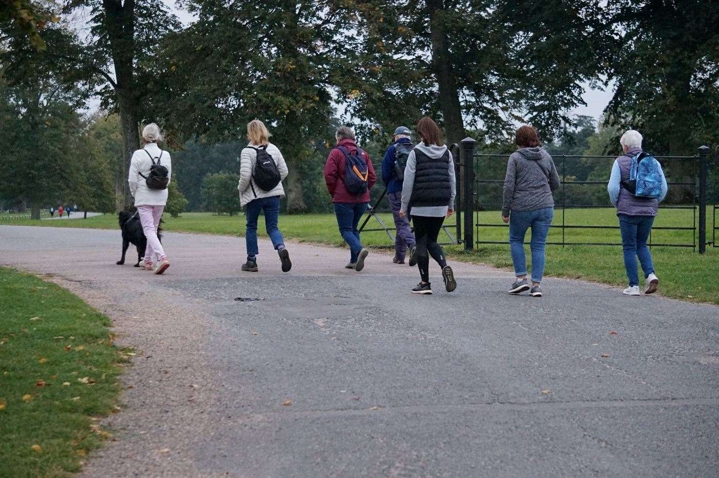 People walking at Blenheim