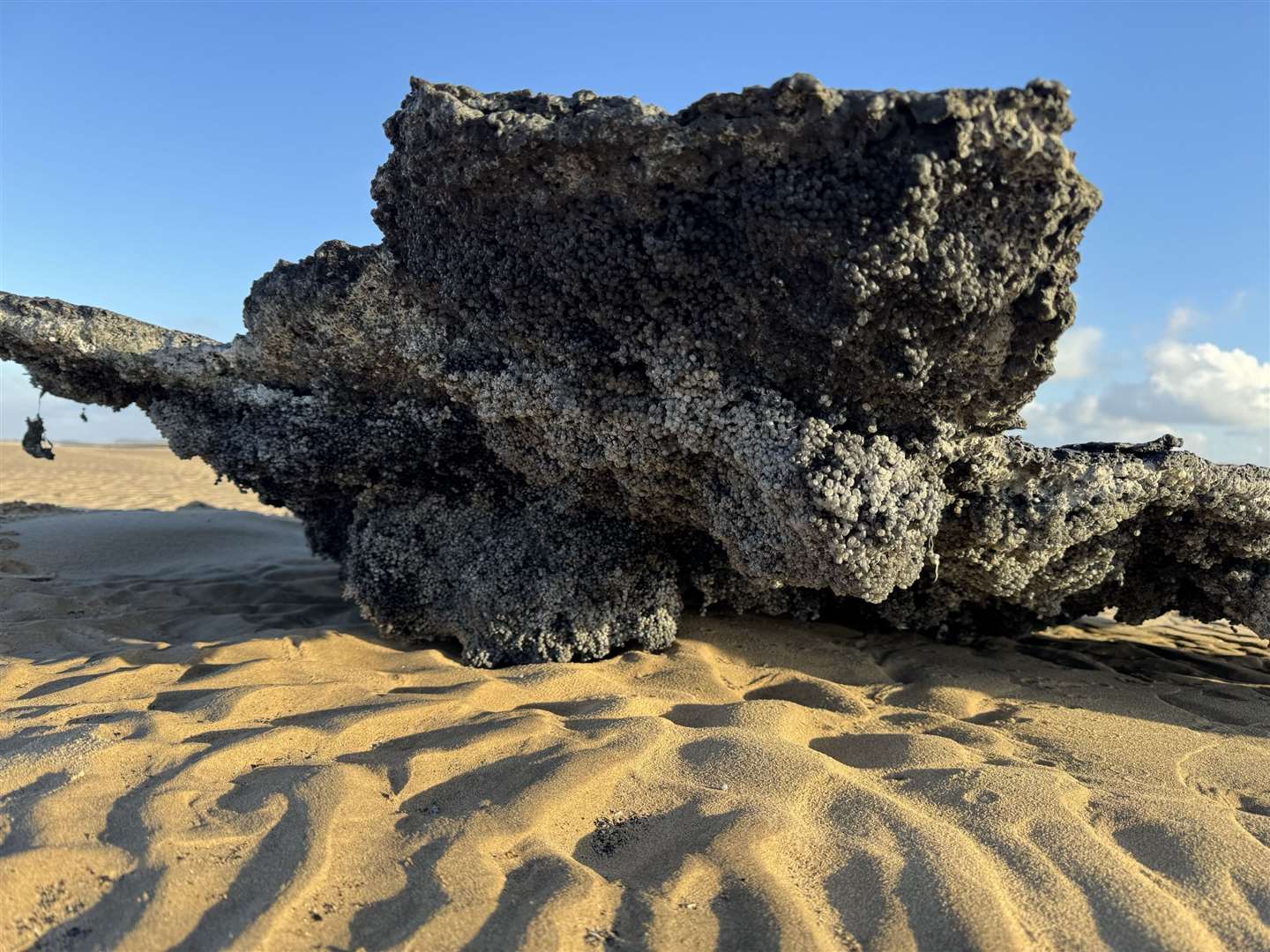 Burnt clumps of plastic pellets on the shoreline at RSPB Titchwell Marsh in King’s Lynn, Norfolk, following the sea collision (RSPB/PA)