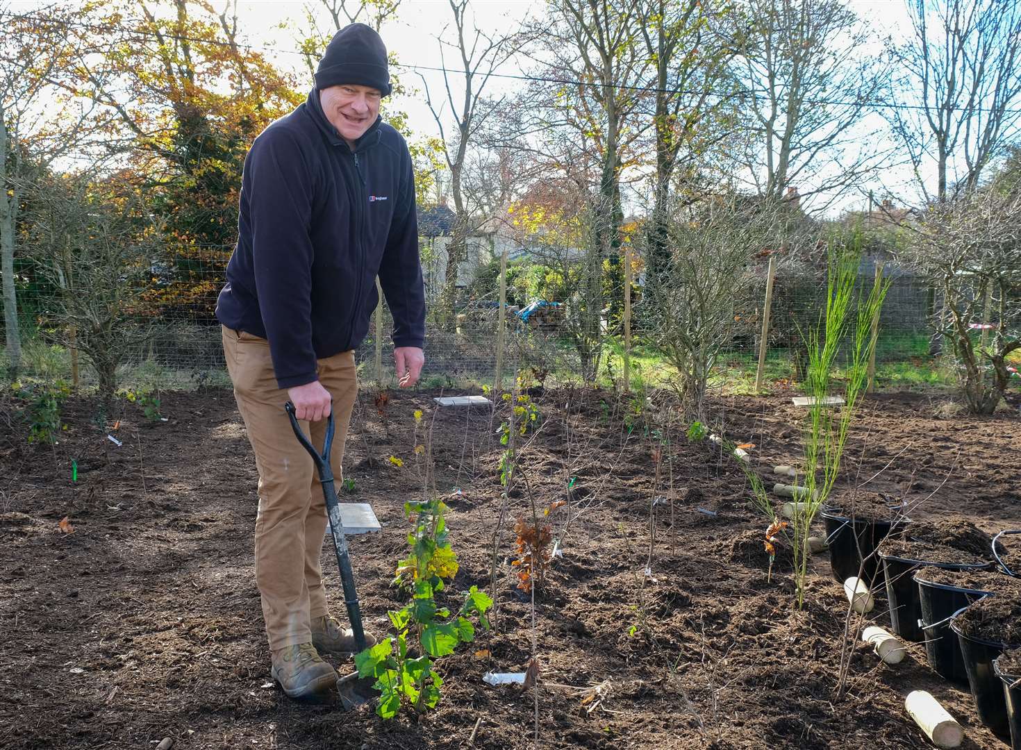 The Tiny Forest at West Berkshire Community Hospital. Ref:48-0621