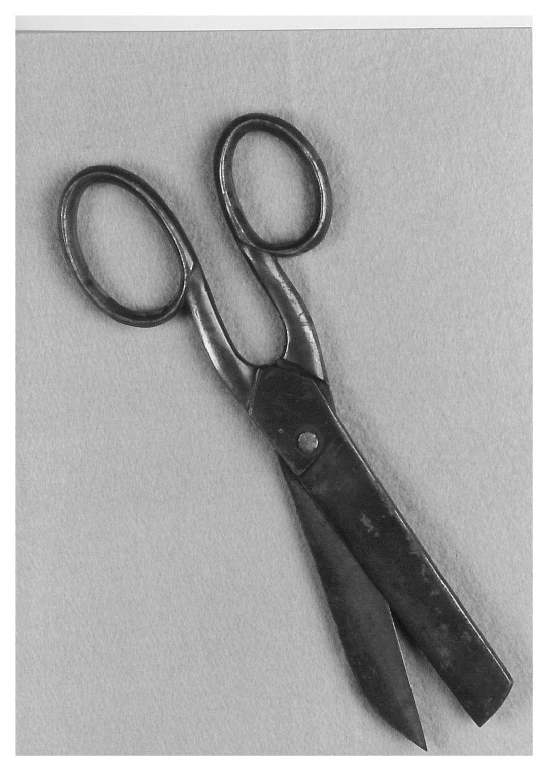 Pair of tailor’s scissors used by James White to cut the cloth used to make the Newbury Coat in June 1811. His father, Isaac, was also a tailor; he witnessed the event. NEBYM:1969.8.1