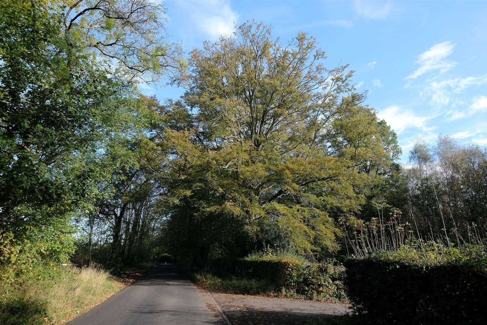 The Chase at Woolton Hill.Ref: 44-1621. (52811378)
