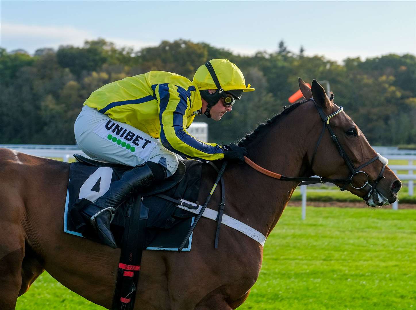 Nicky Henderson admitted he was very impressed by Willmount on his debut over hurdles