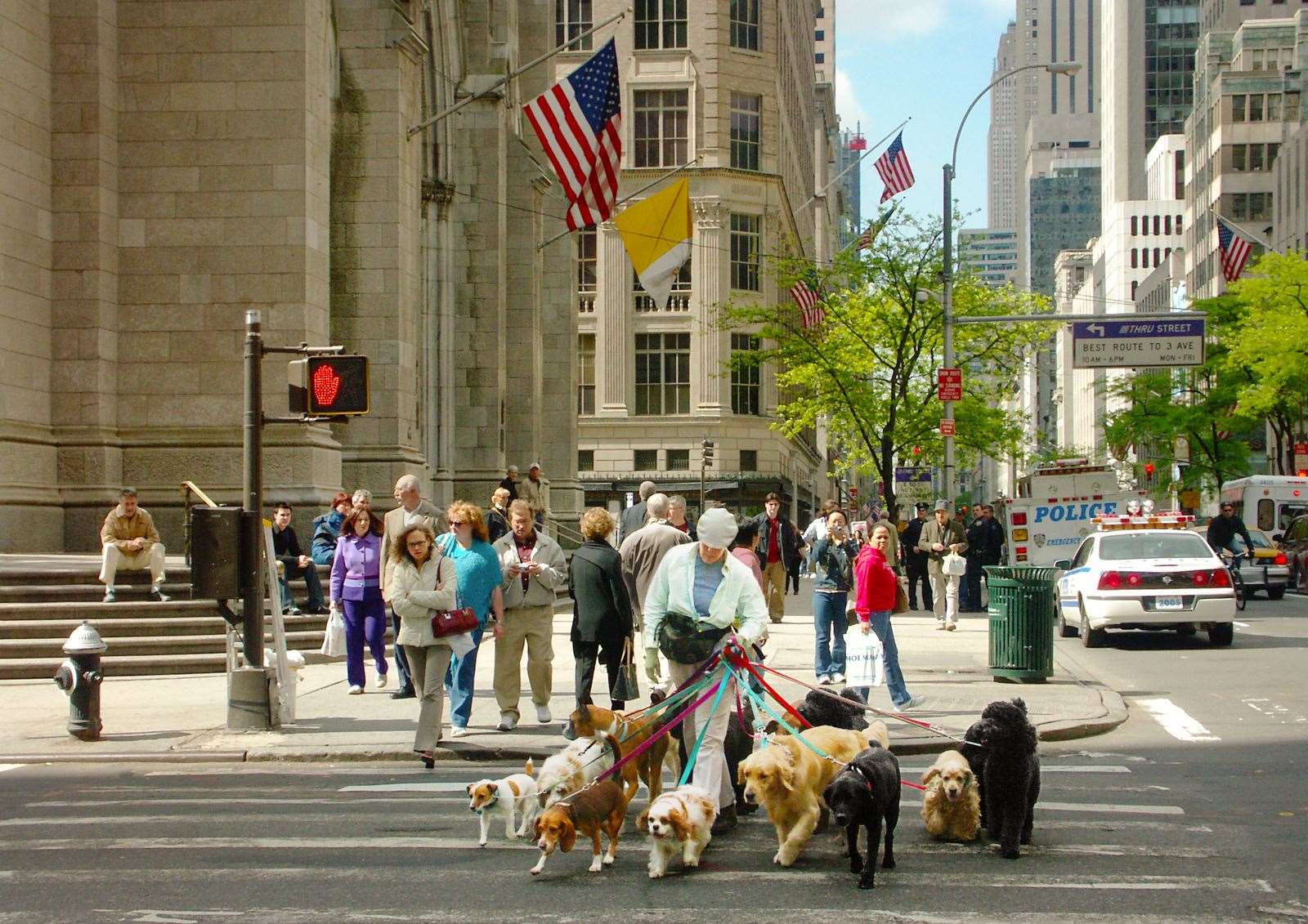New York Walkies- Jenny Seculer