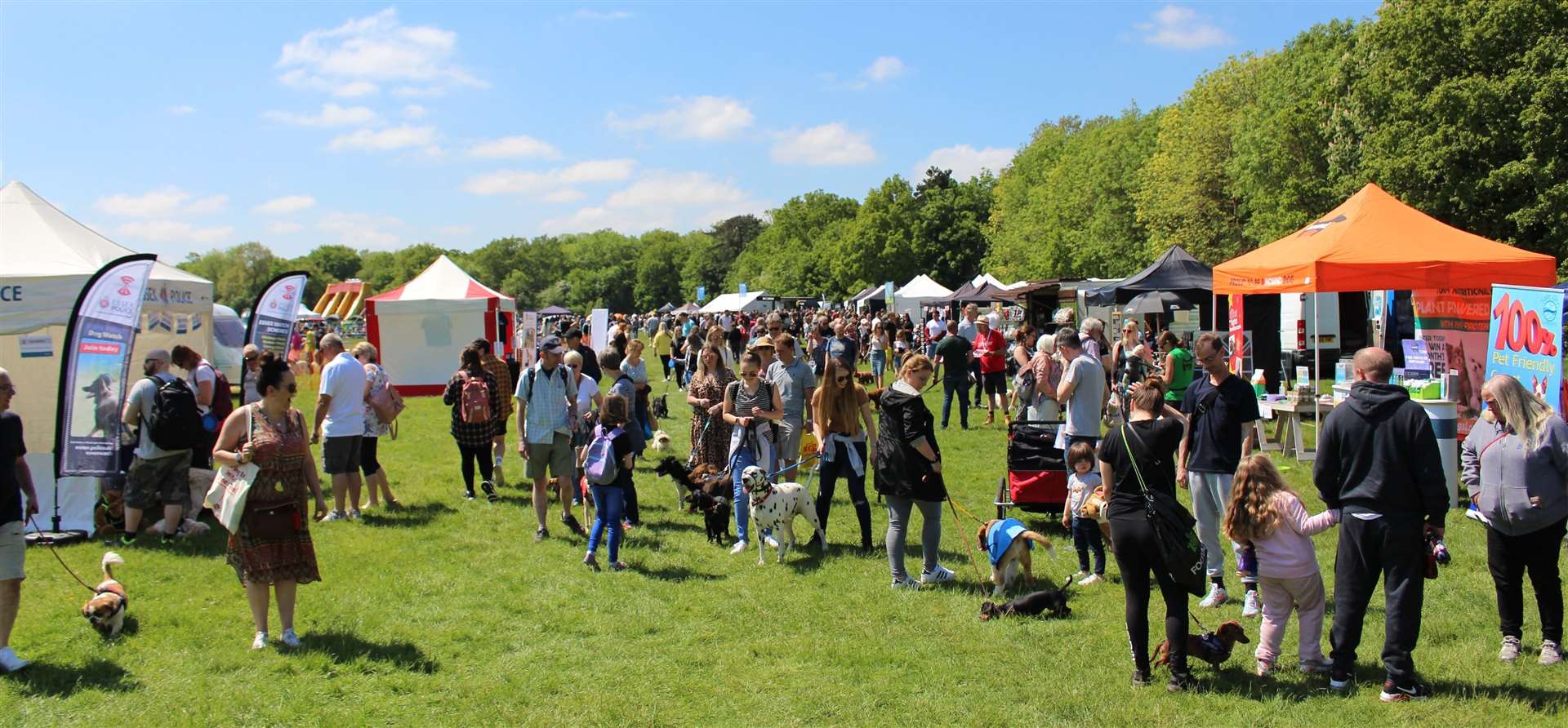 Busy crowds enjoying the show