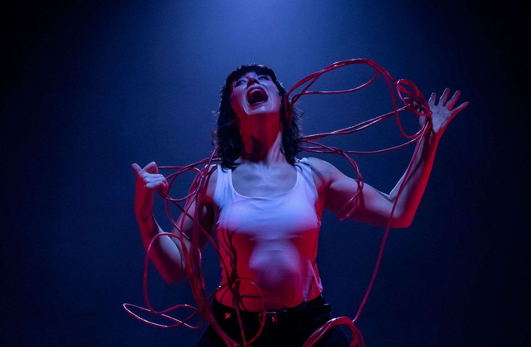 Beautiful Evil Things, Deb Pugh Photo by Camilla Adams