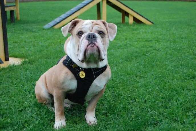 Winston