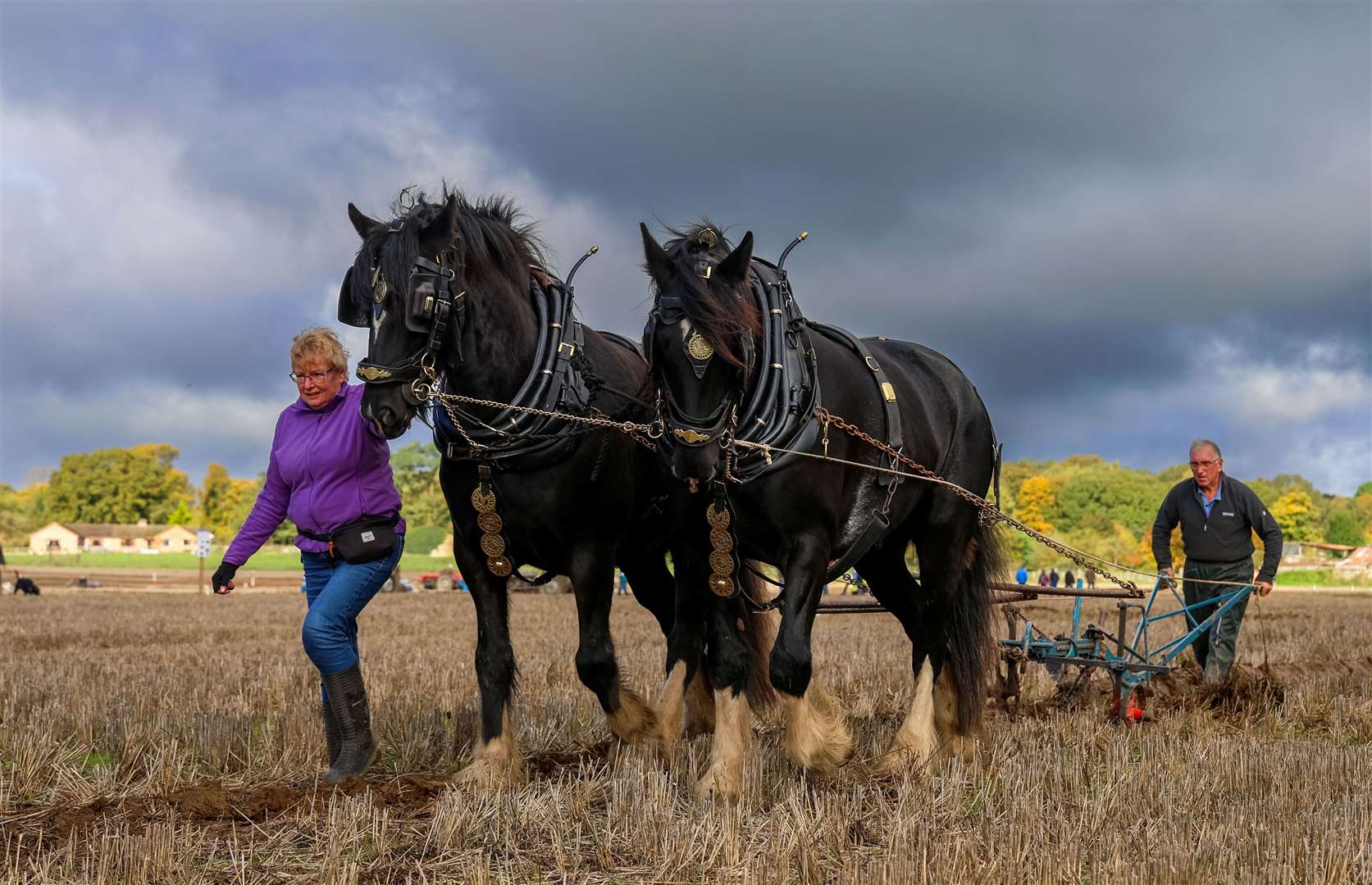 Newbury Ploughing Match