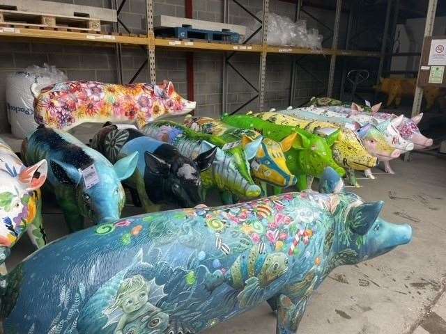 Hogs ready for the road