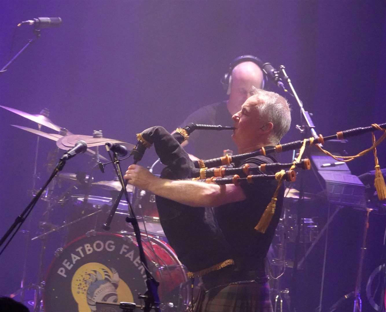 Peatbog Faeries at Arlington Arts, picture Brian Harrington