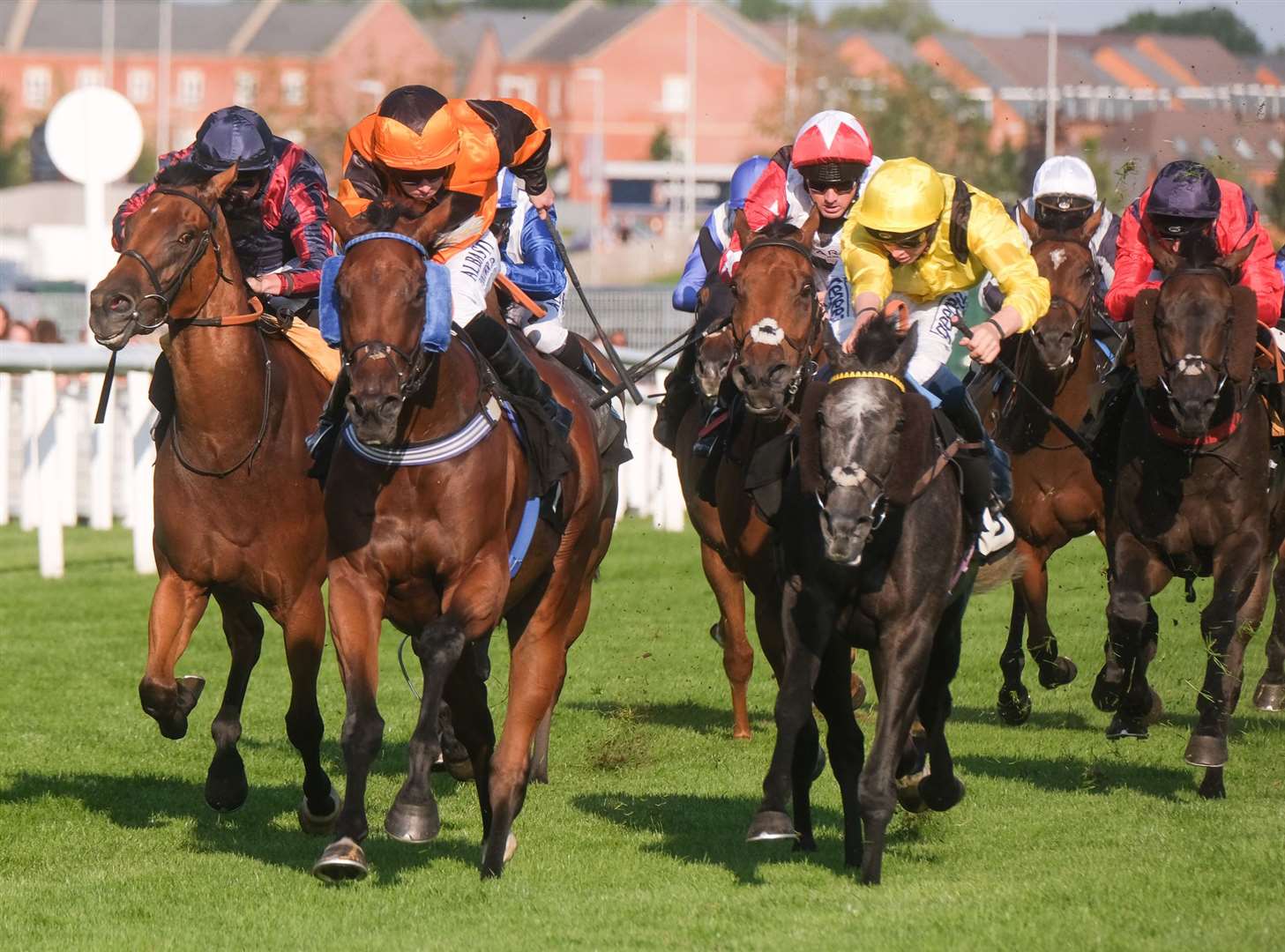 Roger Teal's Bear Force One wins the featured race at Newbury under Ryan Moore Ref: 34-1421C