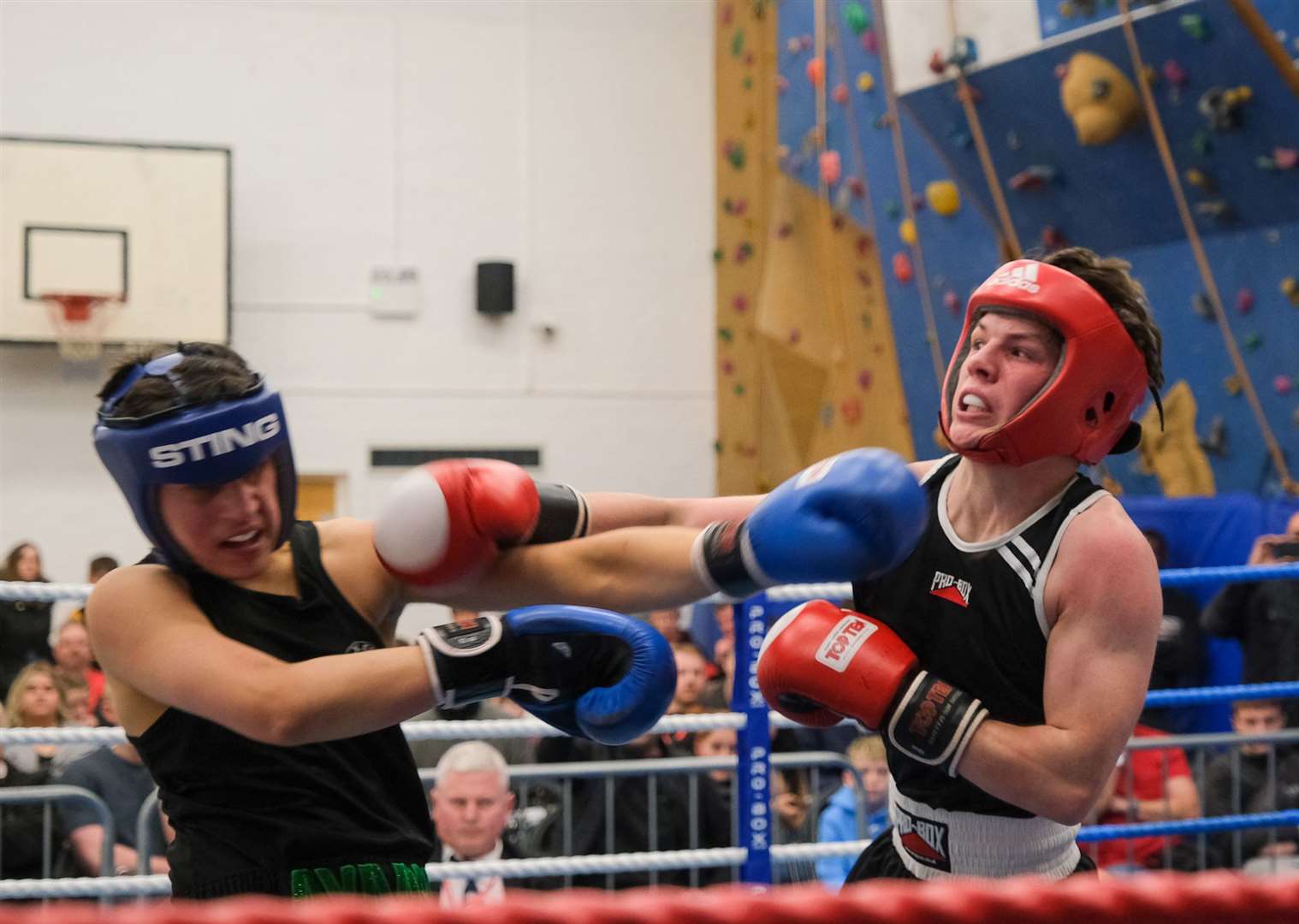 C. Willetts (TV) vs A. Ahmed (Juliee)