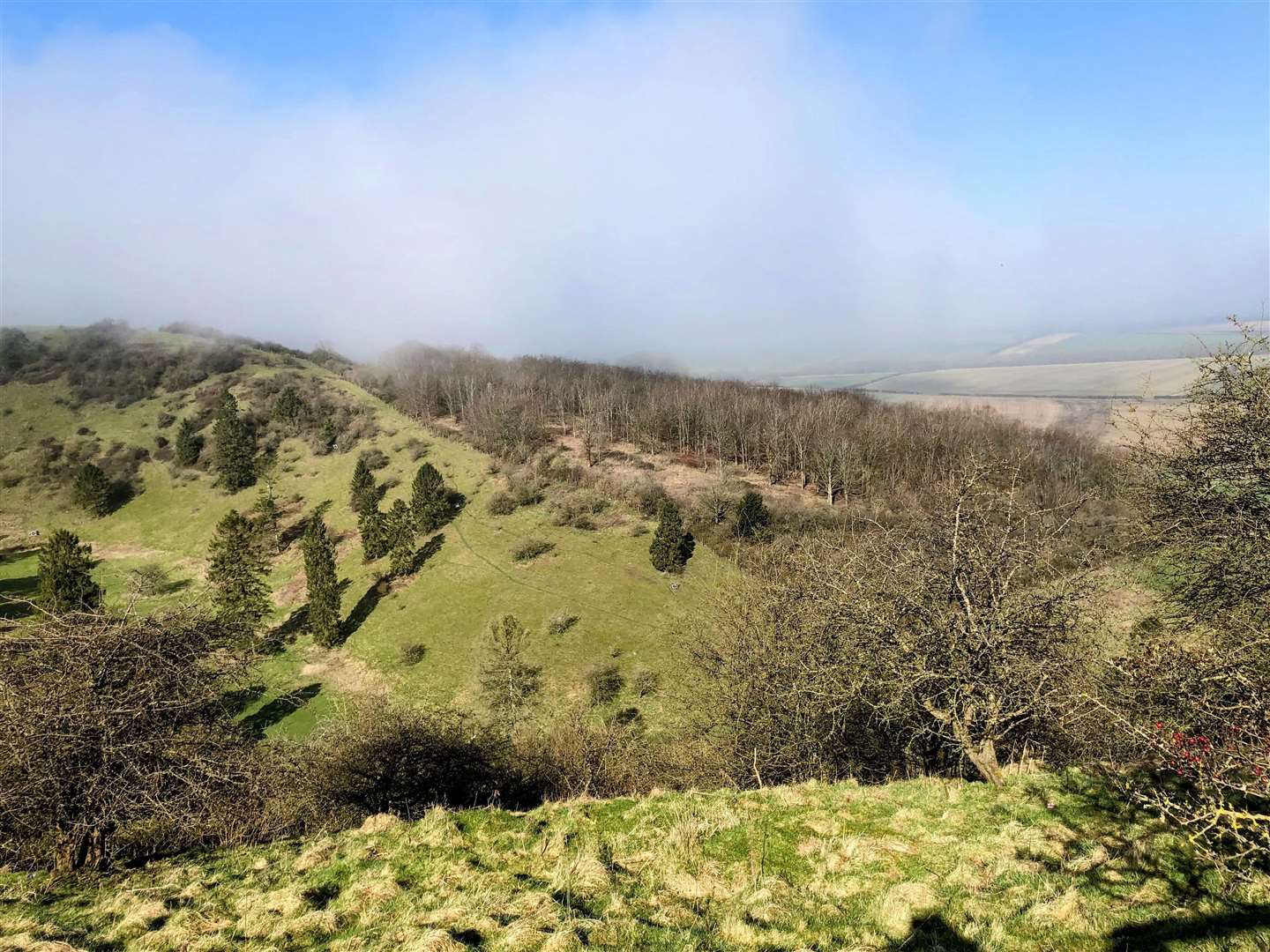 Watership Down, taken by Peter Towndrow