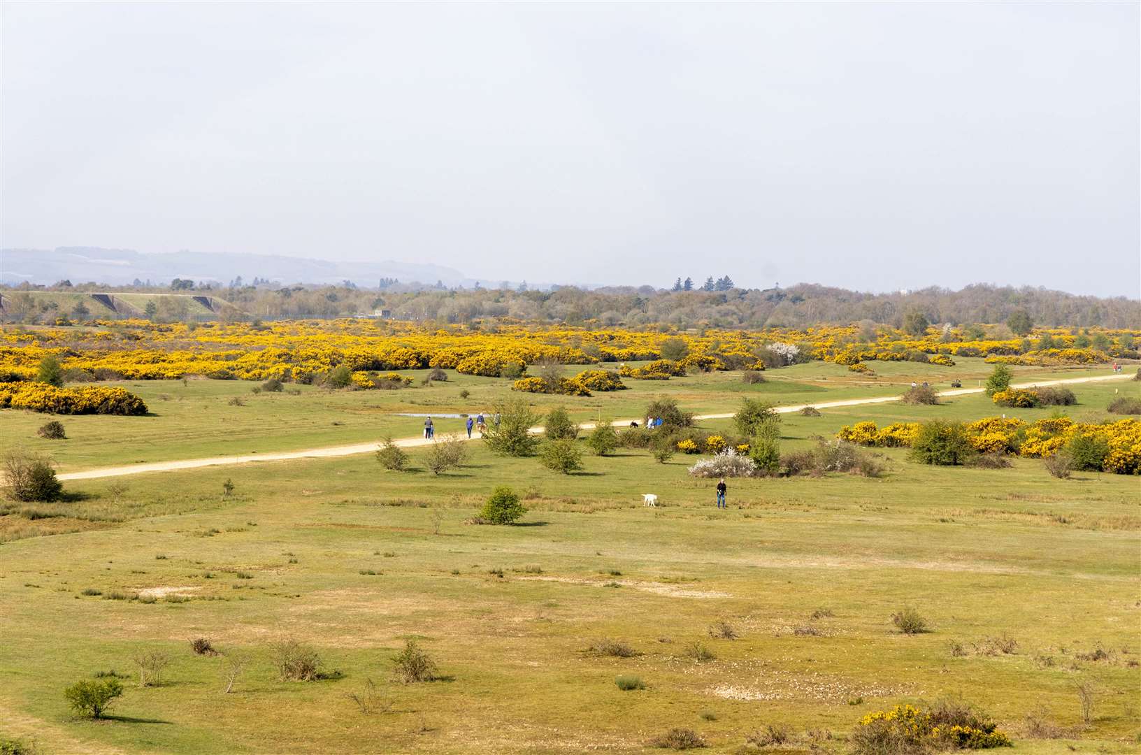 Greenham Common today