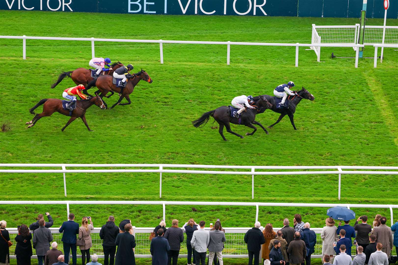 The Flat season concludes at Newbury