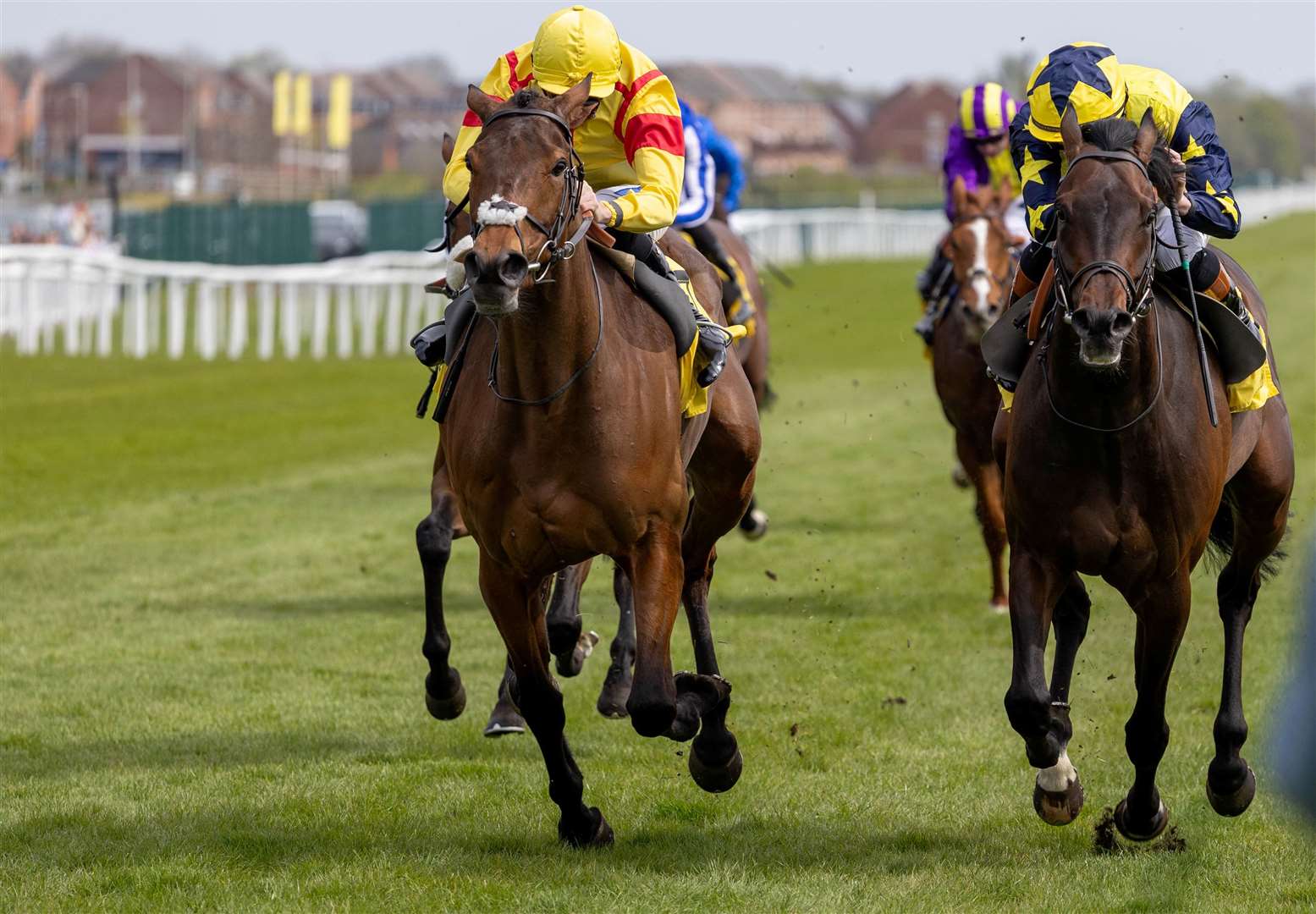 Dubai Duty Free Finest Surprise Stakes - Divina Grace