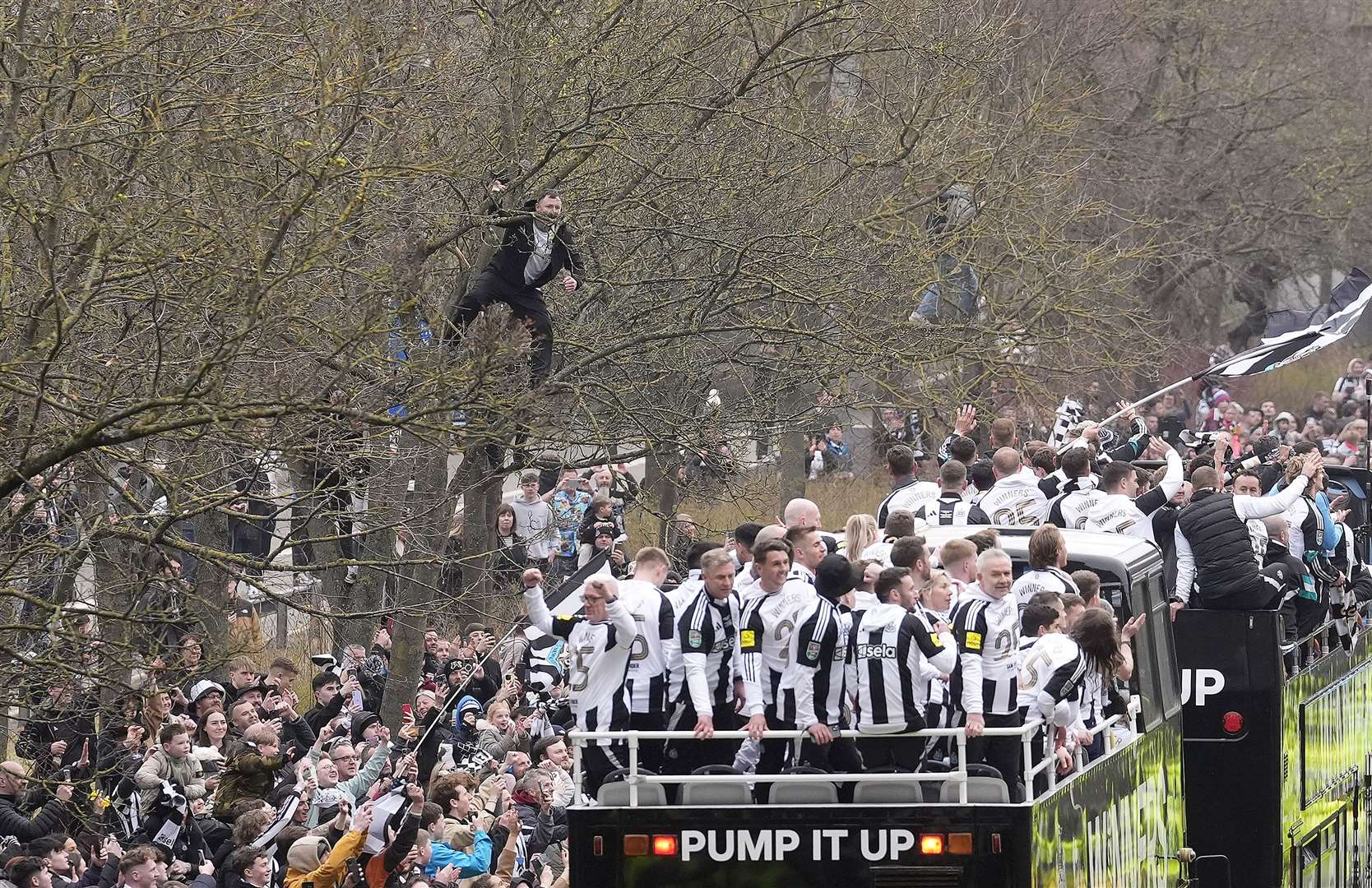 A Newcastle United fan watches on in a tree as the players pass by aboard an open top bus during the Carabao Cup trophy parade in Newcastle (Danny Lawson/PA)