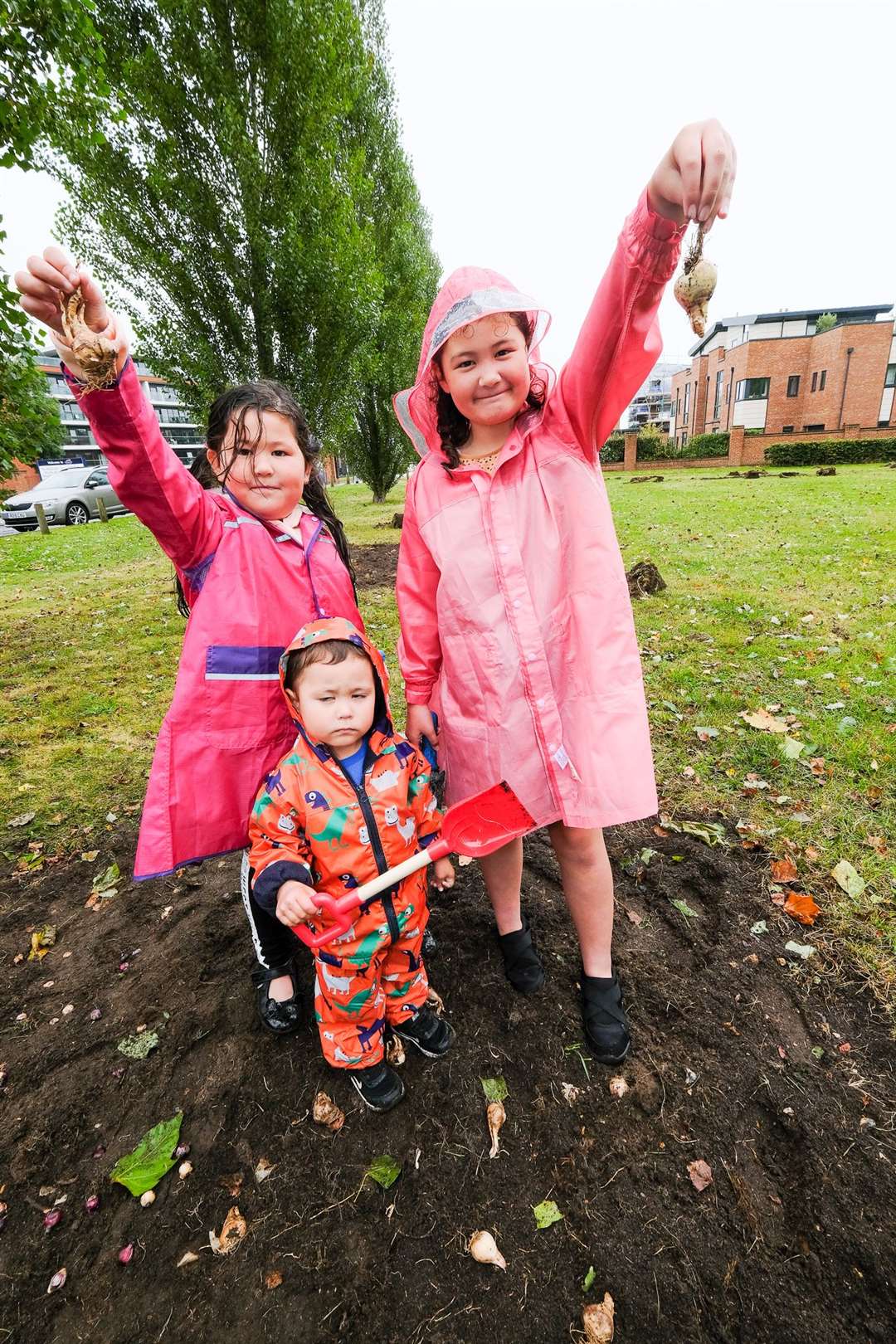 Stroud Green - Planting bulbs.Jessica age 9, Jennifer age 8 and Jayatt age 3 Foley