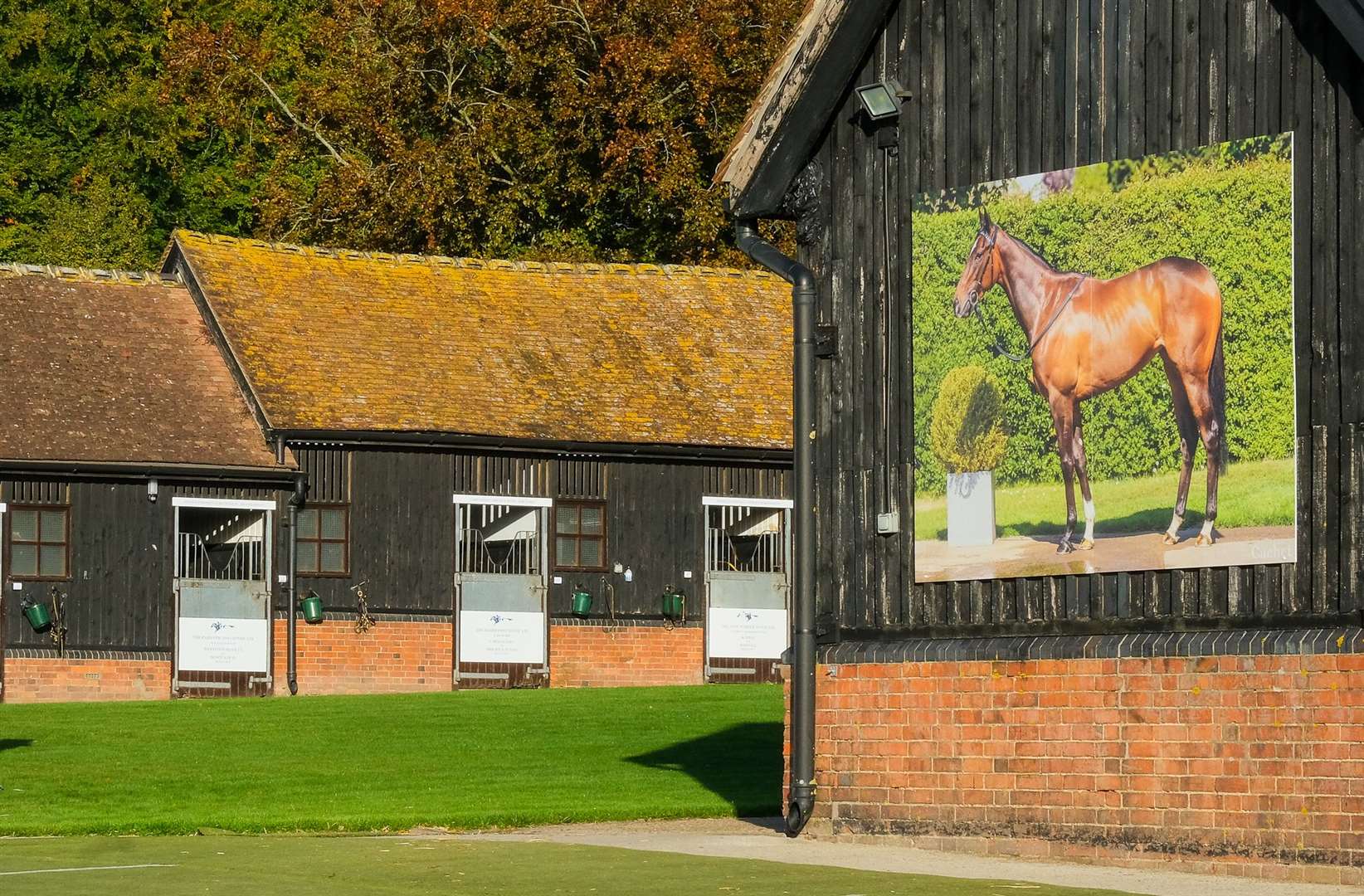 Cachet's image pride of place at Highclere Stud